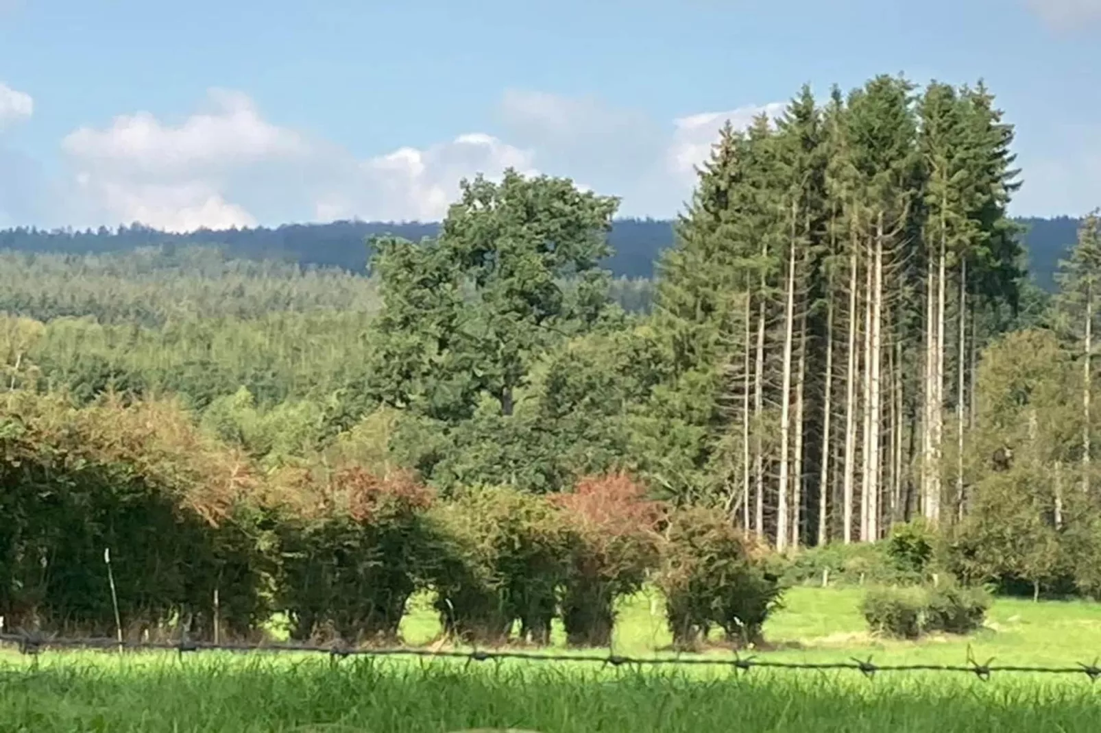 Le Sanglier-Areas summer 20km