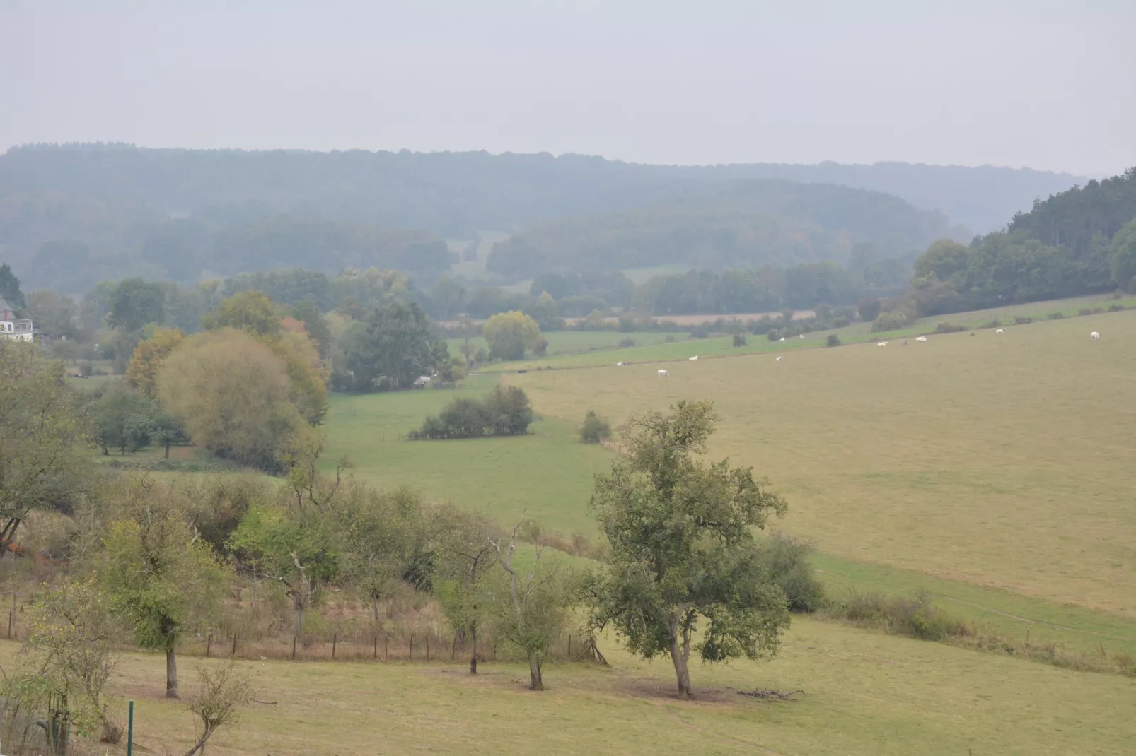 Le Gîte Mariette-Aussicht Sommer