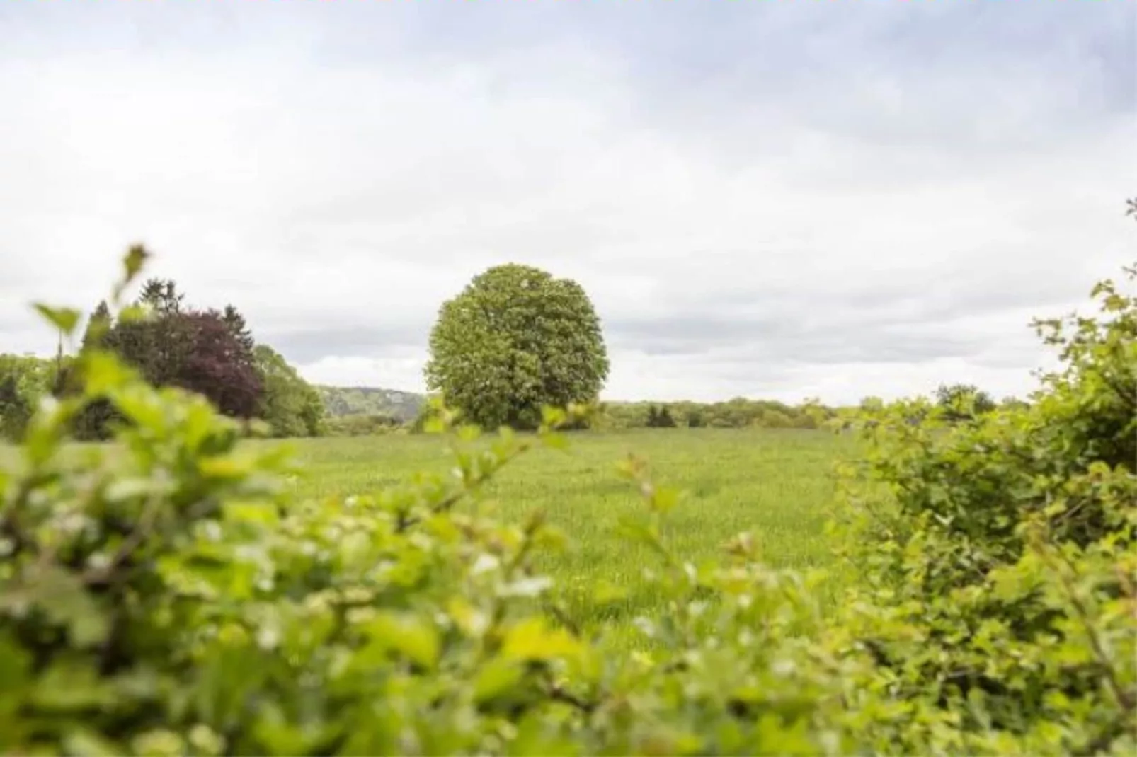 Maison Marie-Zones d'été à 1 km