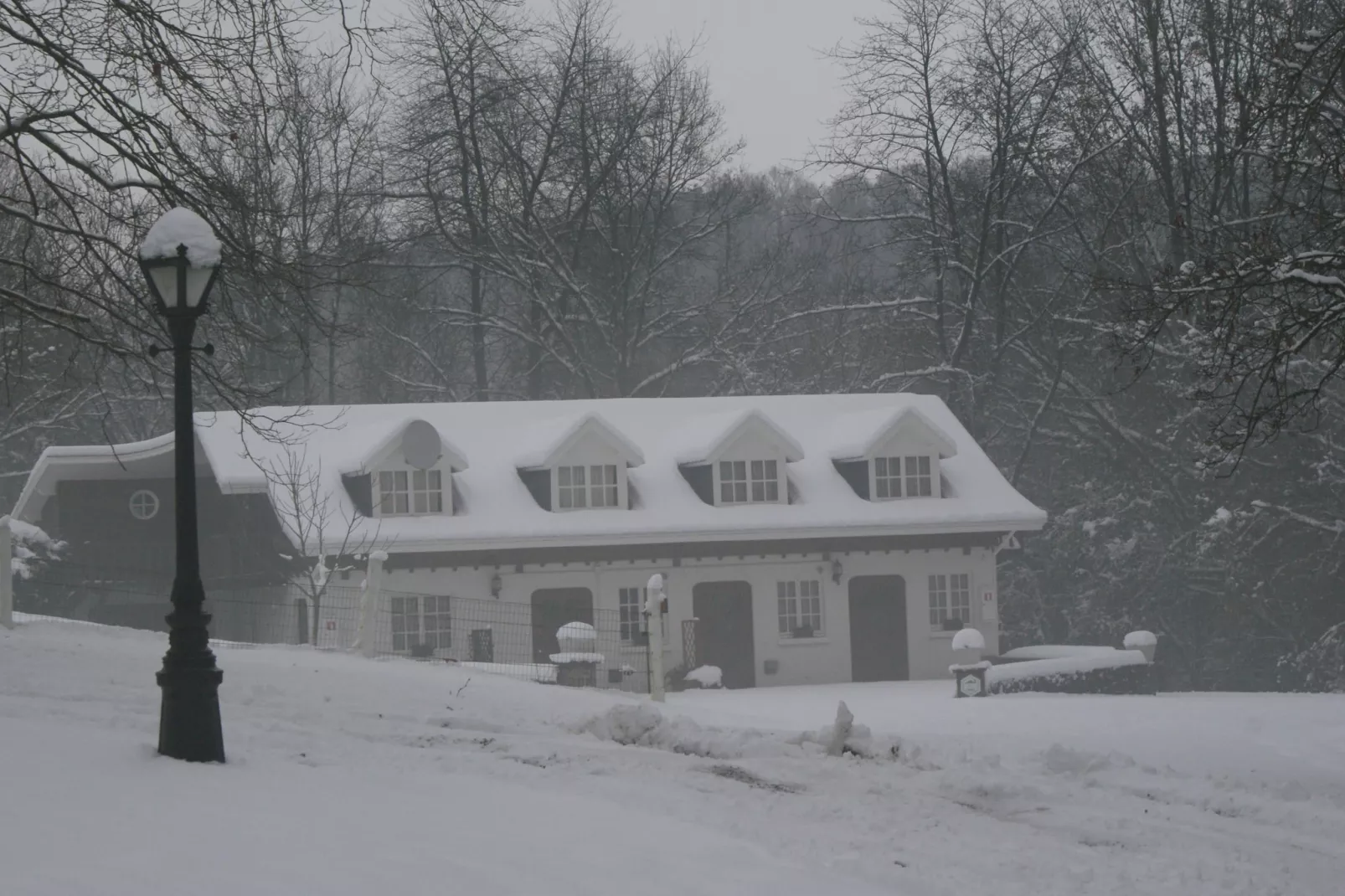 Domaine De L'Ecureuil 5-Exterior winter