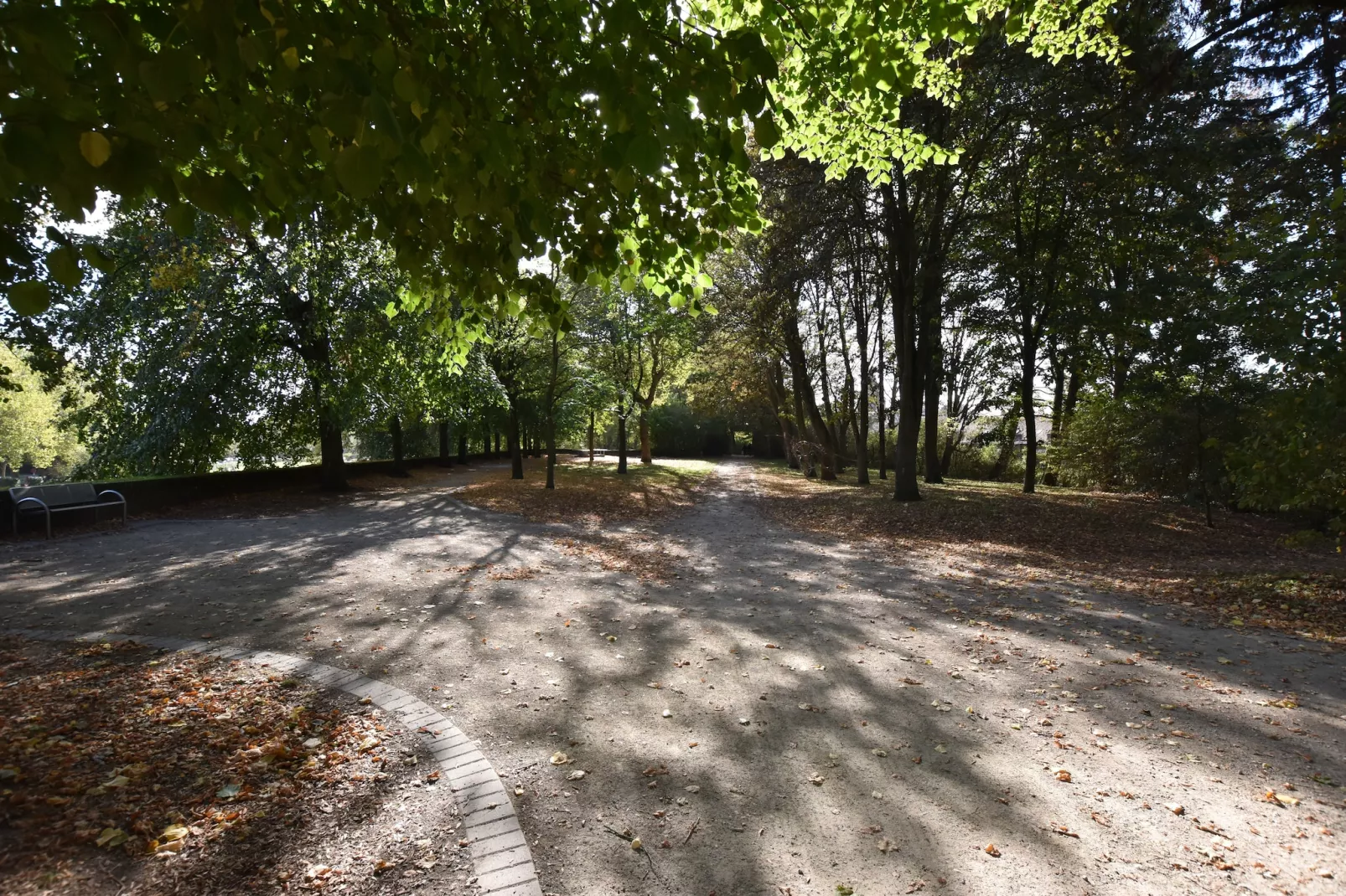 De bonte kat-Zones d'été à 1 km