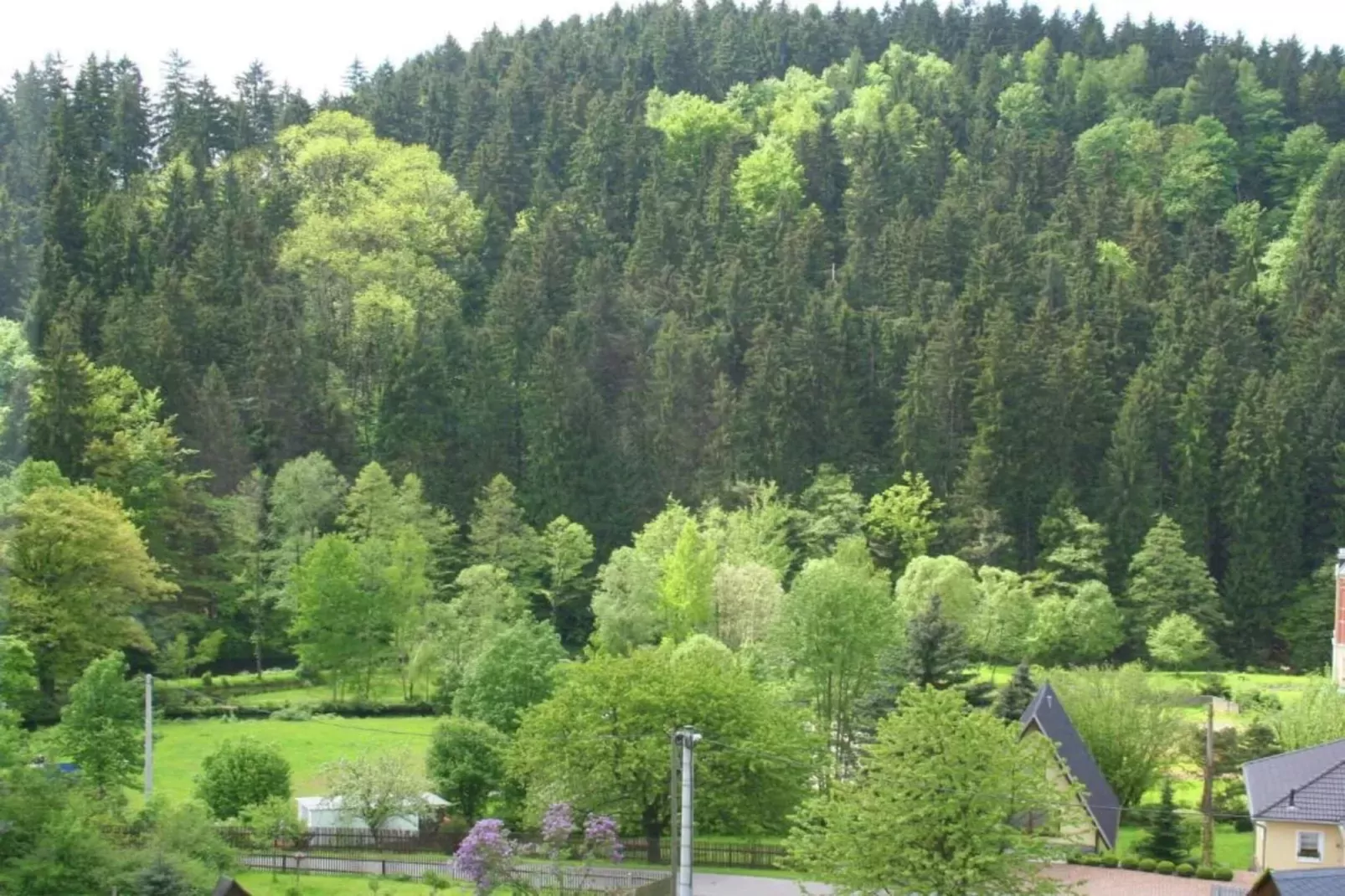 Villa im Erzgebirge-Areas within 20km in summer