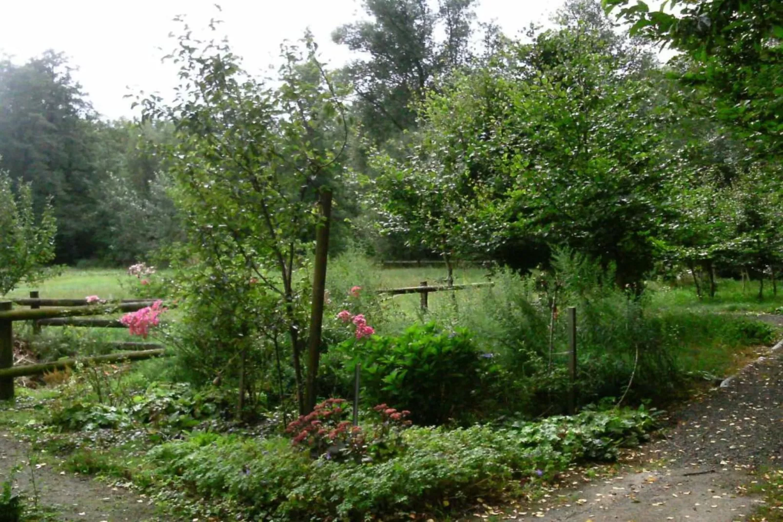 Ericaheidepark-Areas summer 20km