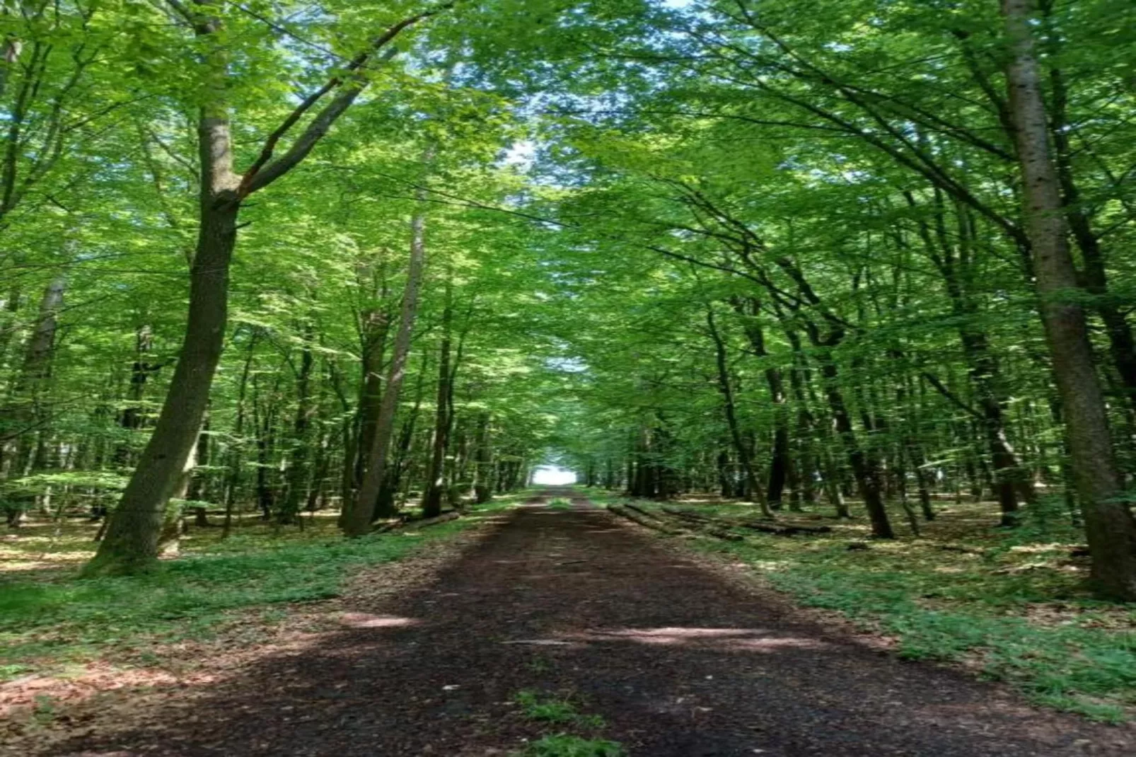 Idylle-Gebiete Sommer 20 km