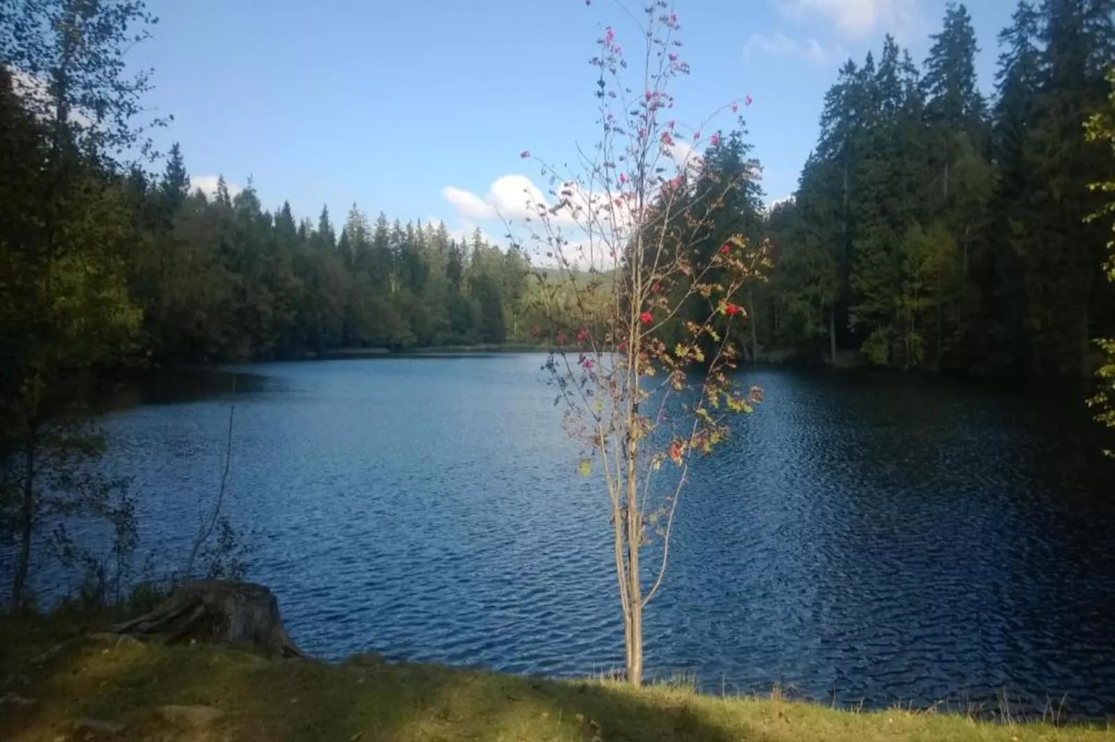 Bergfreunde-Areas summer 20km