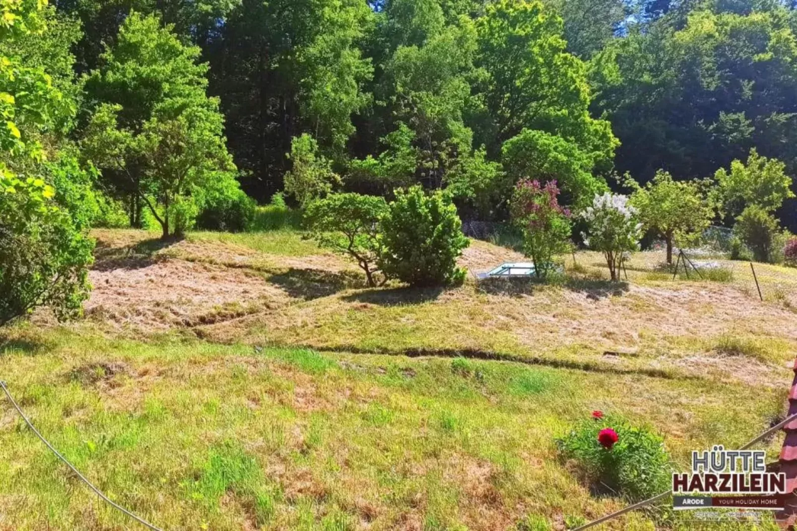 Im Zorger Tal-Areas within 20km in summer