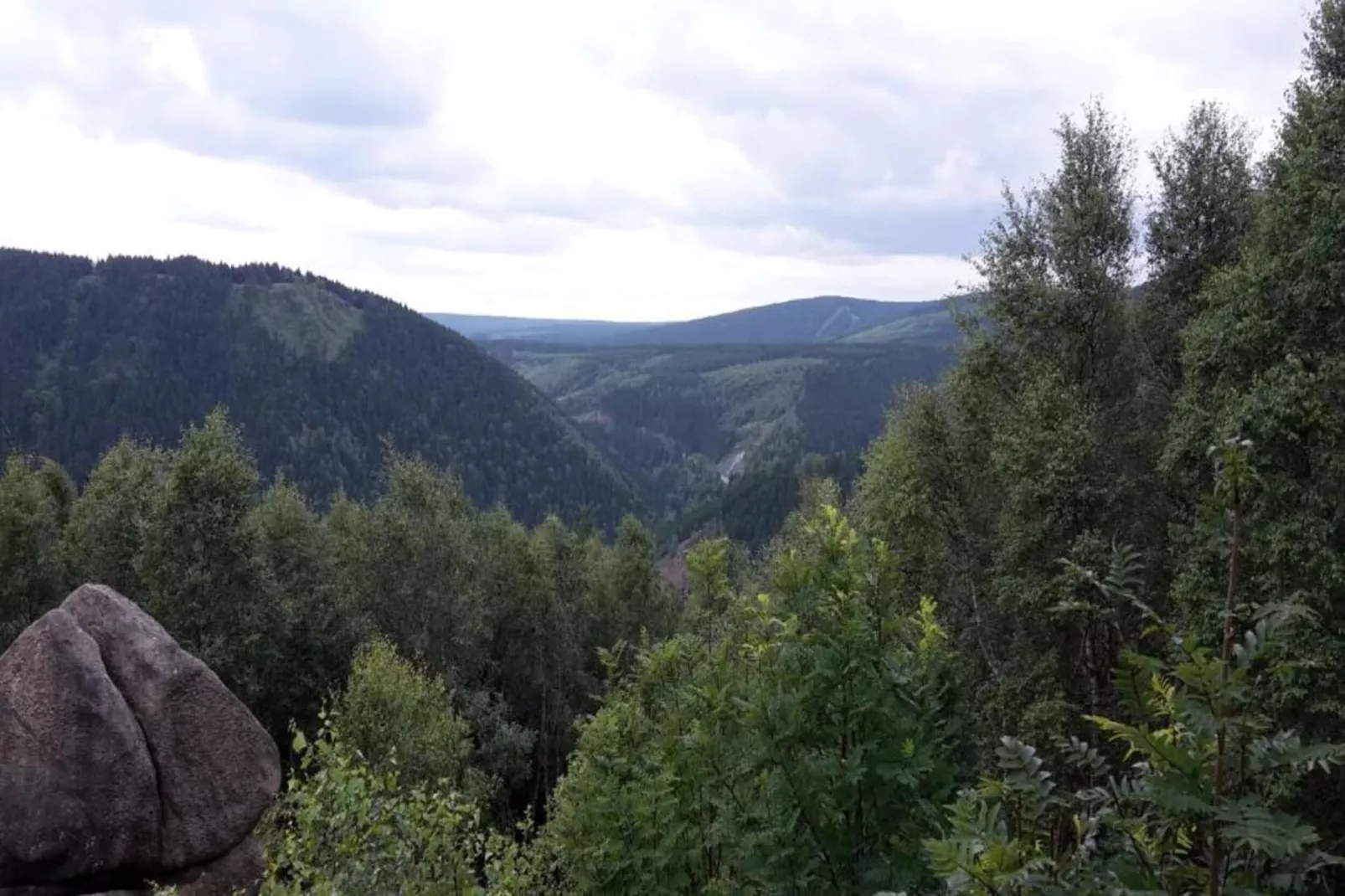 Wildemann-Areas summer 20km