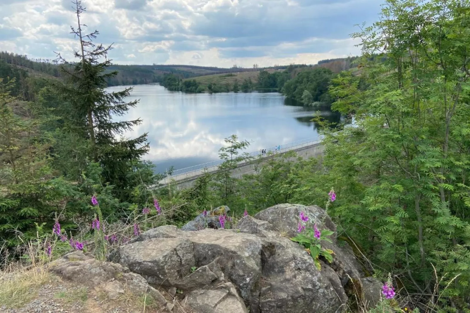 Hexenstieg-Areas summer 20km