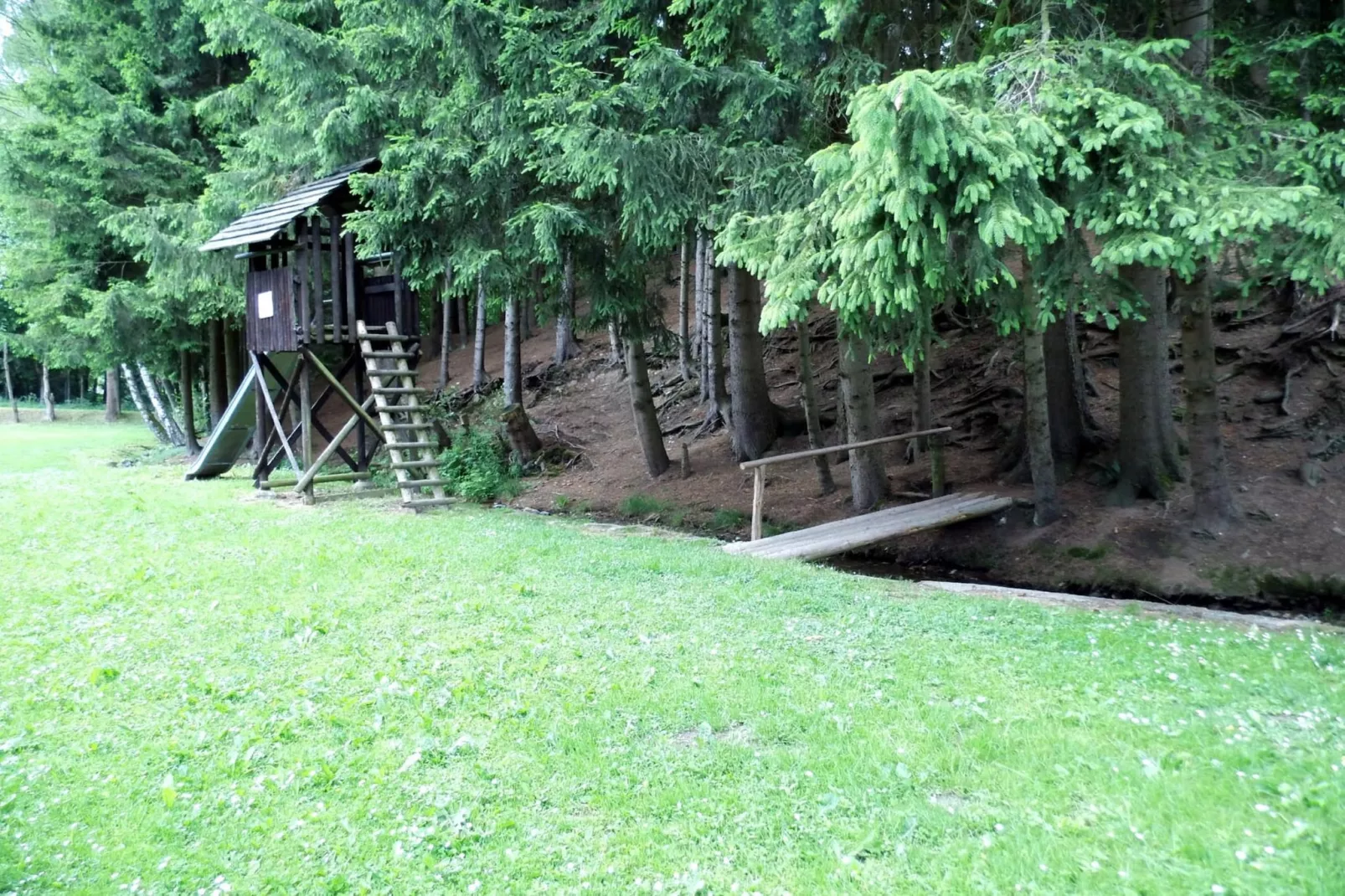 Dachsbau-Areas summer 1km