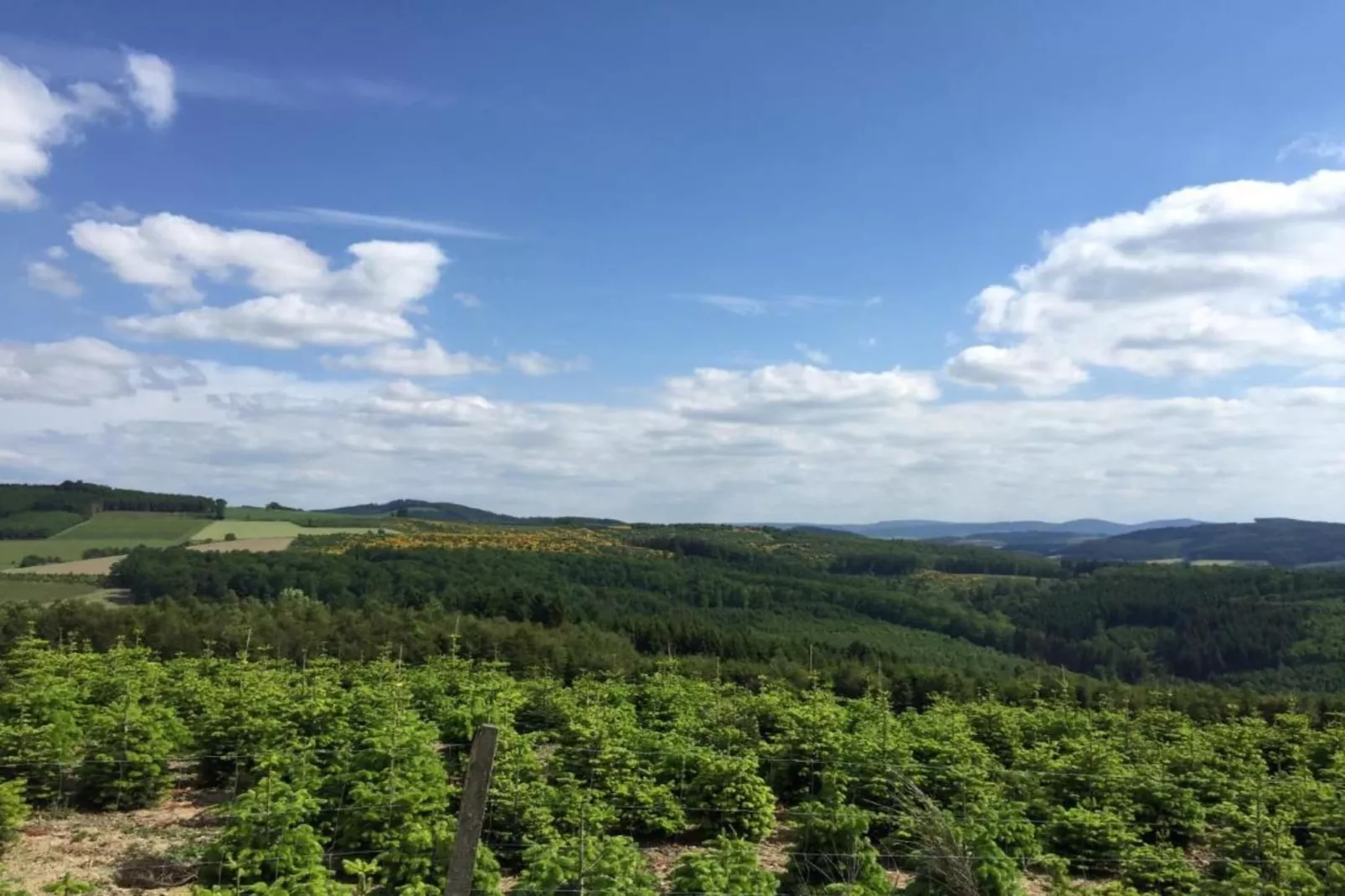 Bestwig-Areas summer 20km