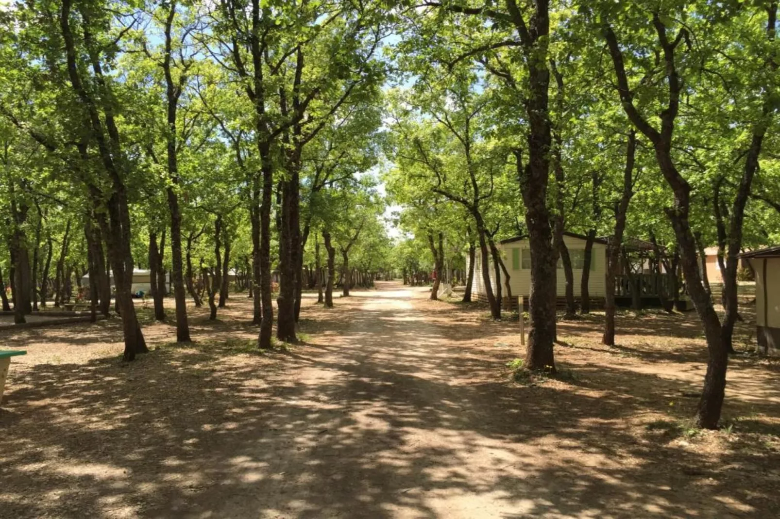 Le Clos Savornin 3-Areas summer 1km