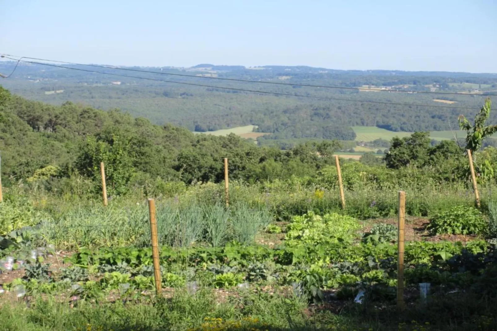 Maison Failte-Areas summer 20km
