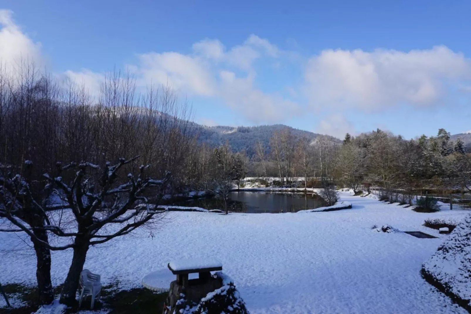 Genevieve 1-Area winter 20km