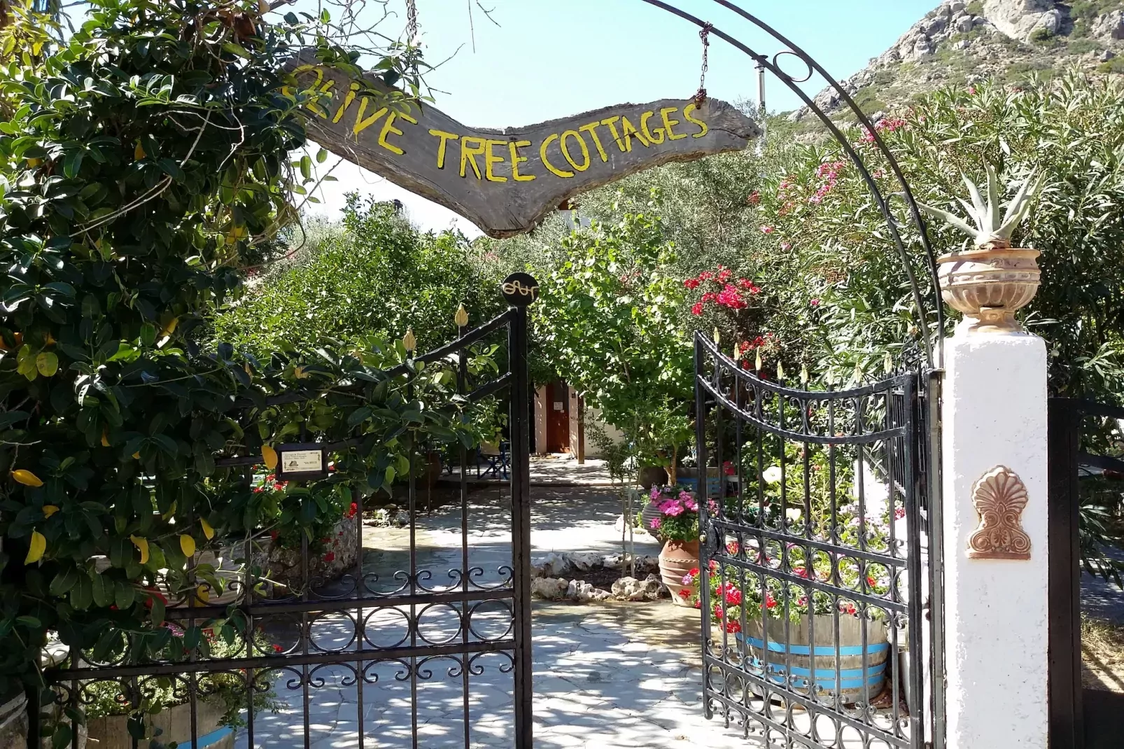 Olive Tree Cottage No 2-Exterior summer