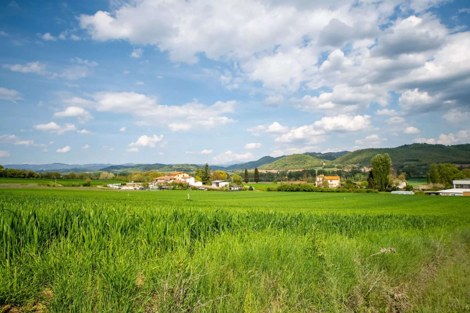 Essiccatoio Rosa-Gebiete Sommer 5 km