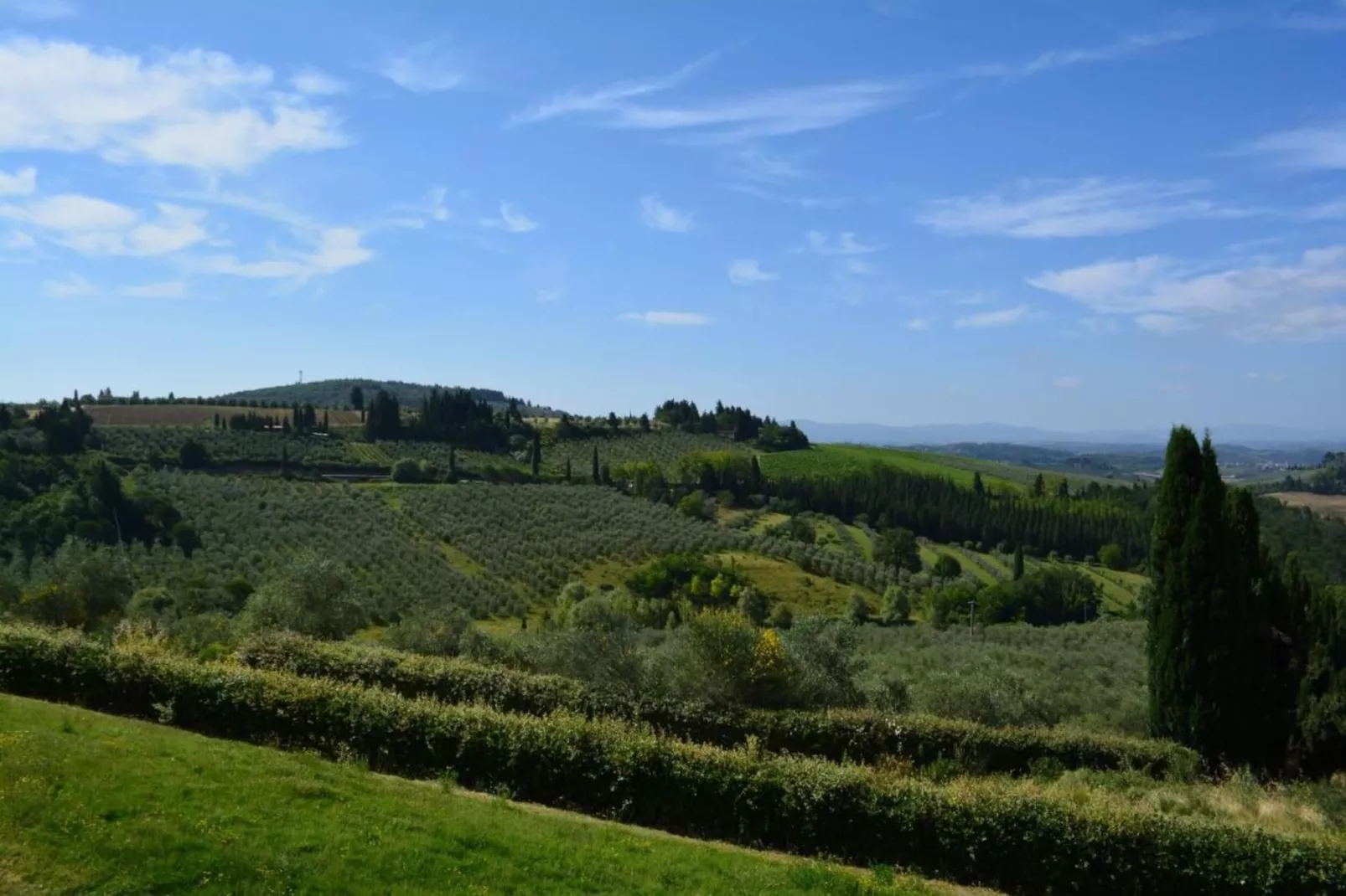 Toraio-Areas summer 5km