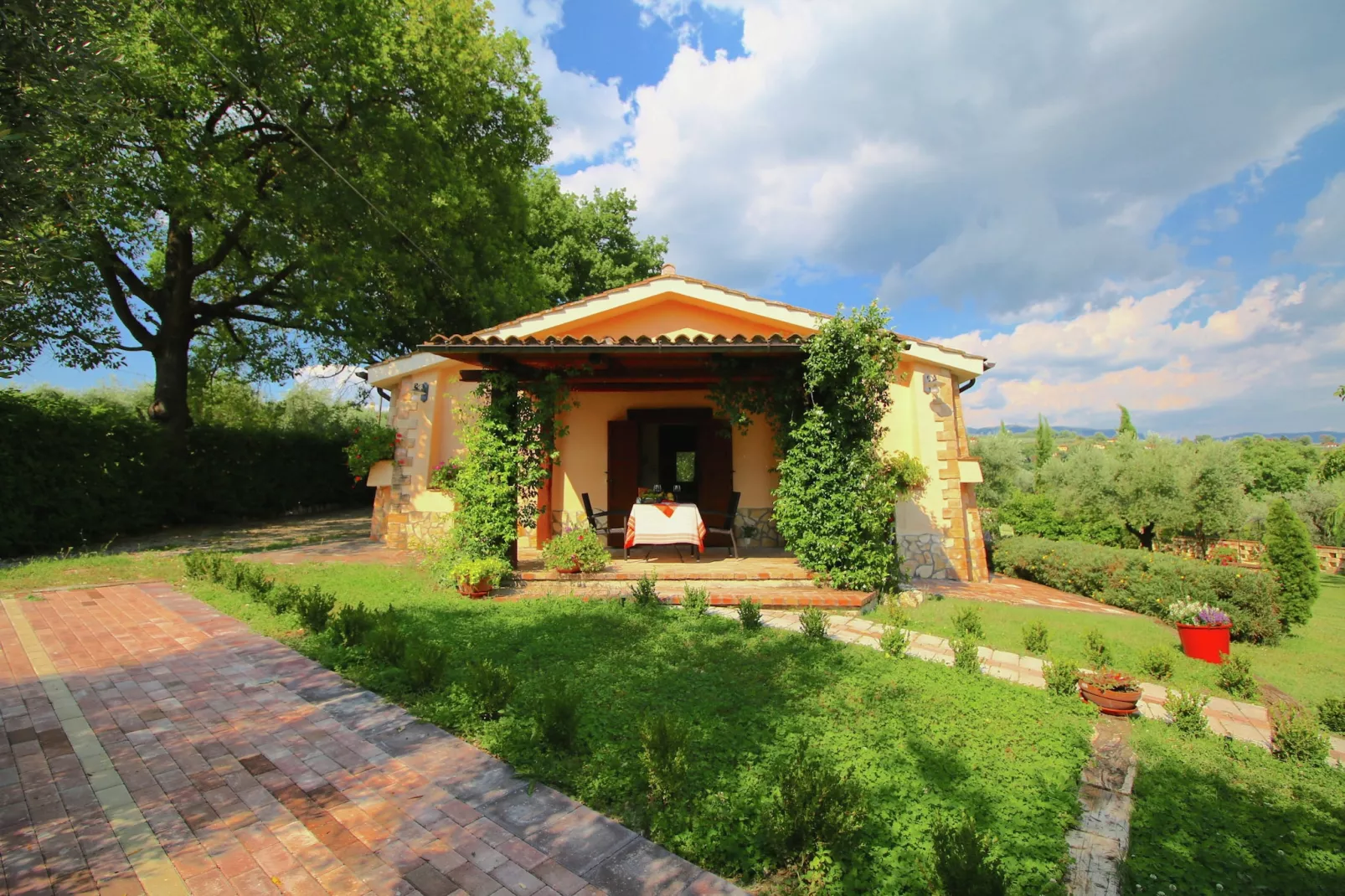Ulivo-Exterior summer