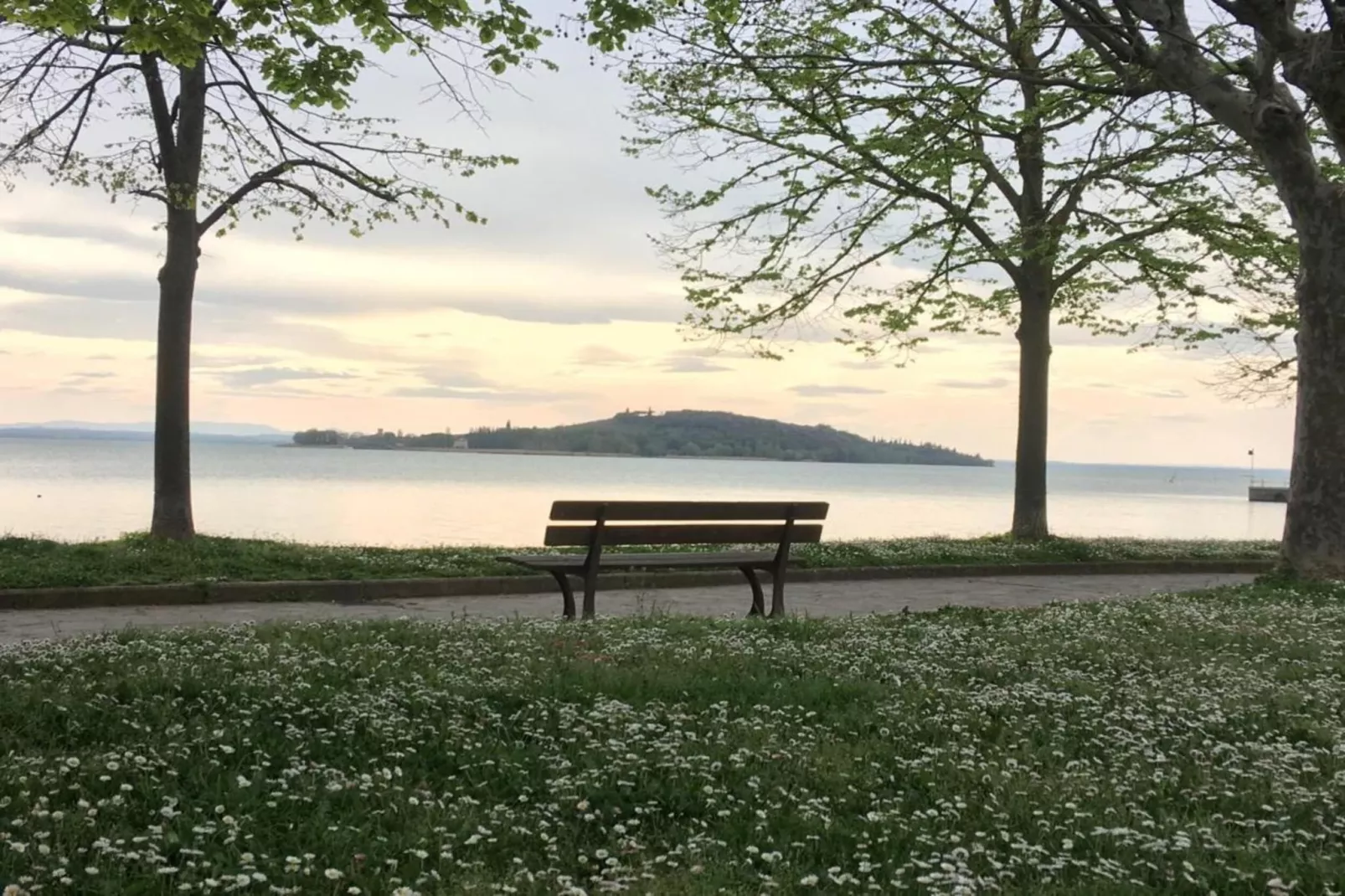 Nespolo Due-Gebiete Sommer 20 km