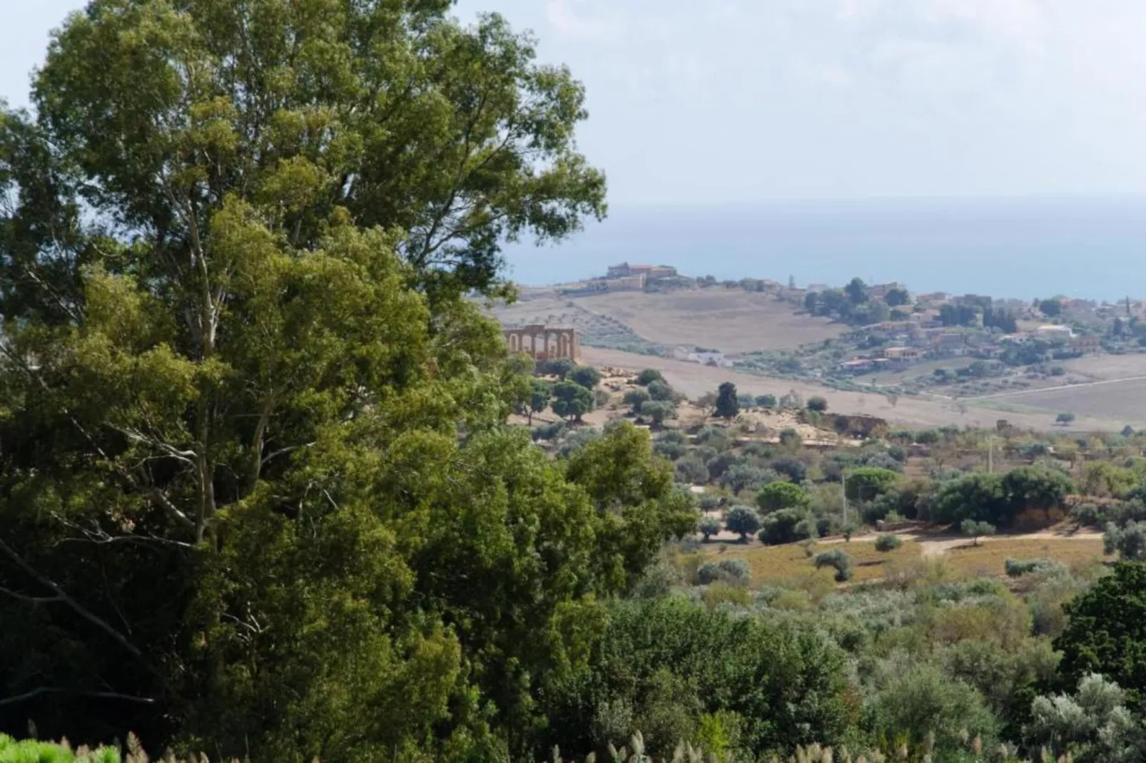 Tenute D'Angelo-Areas summer 20km