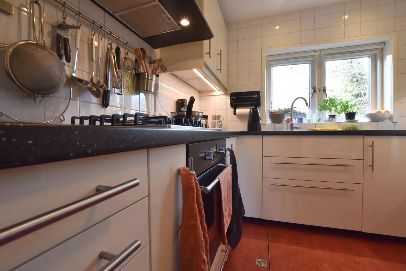Veluwse Specht-Kitchen