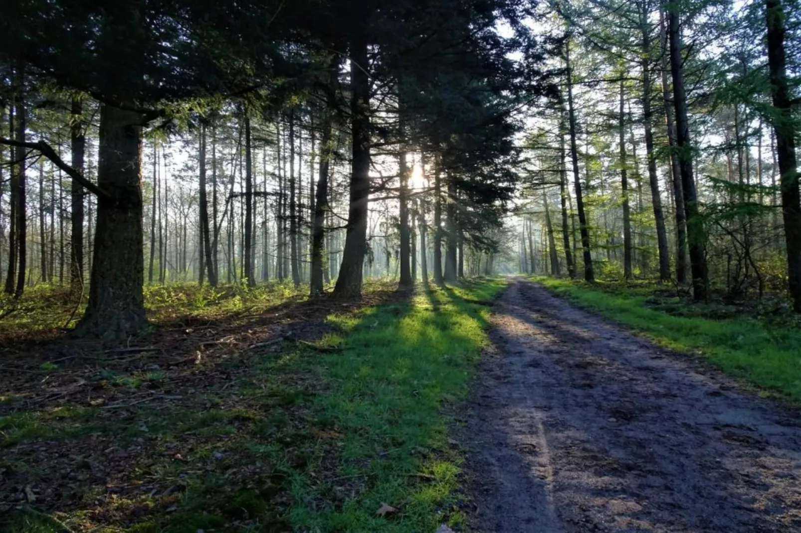 De Veluwse Hoevegaerde 7-Areas summer 5km