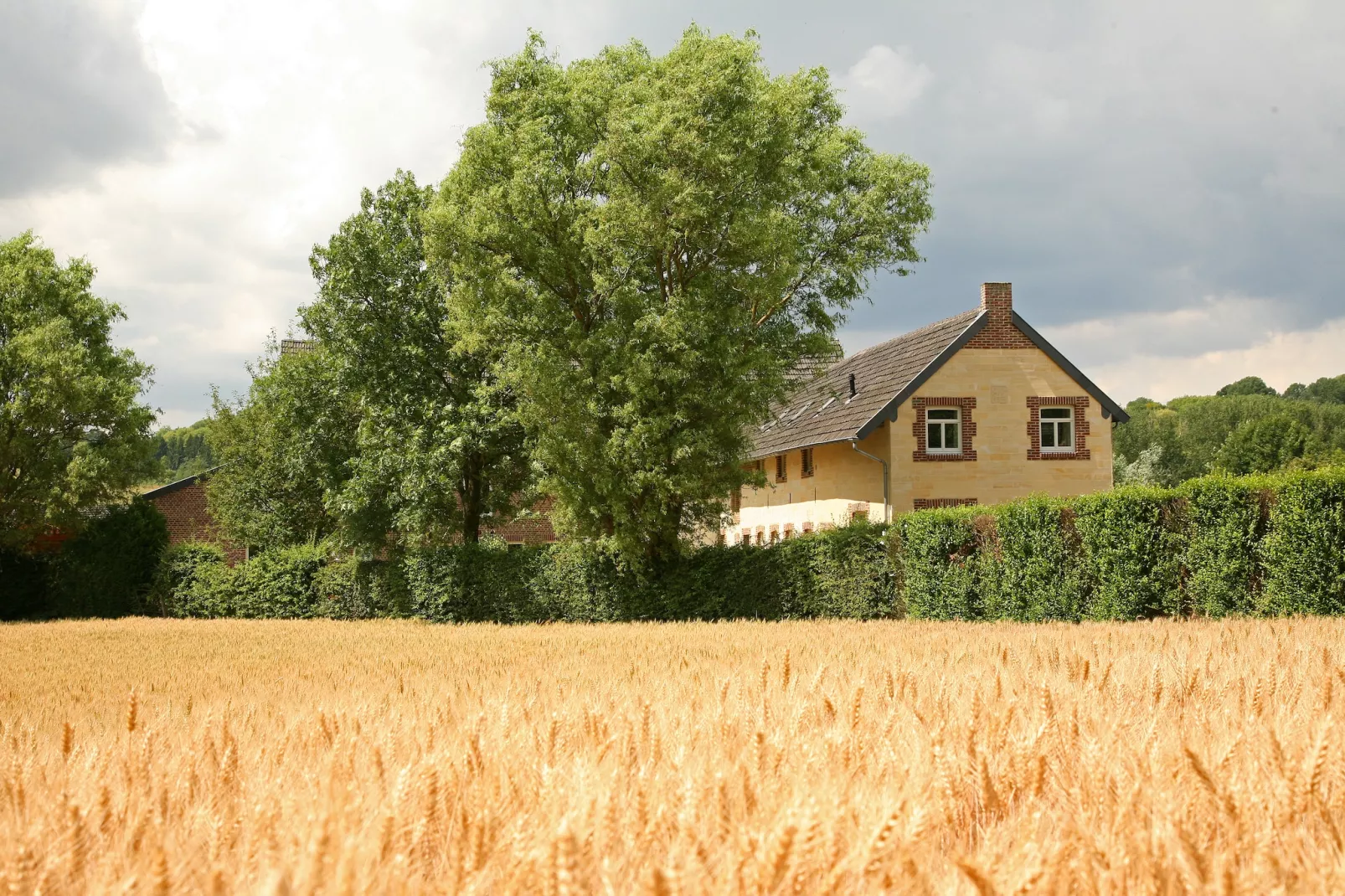 Hoeve in gunne winkel 2-Außenbereich Sommer