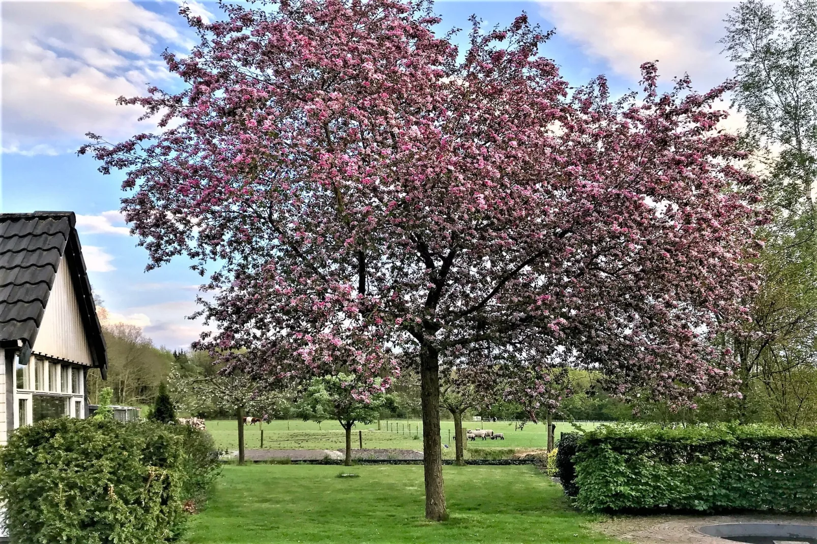 Vakantie appartement De Stelling-Gardens summer