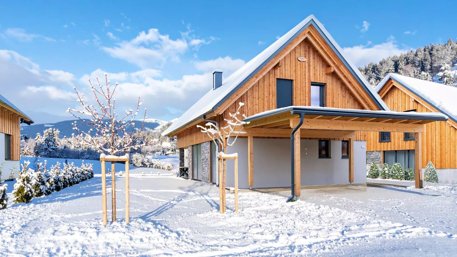 Mountain Vista-Exterior winter