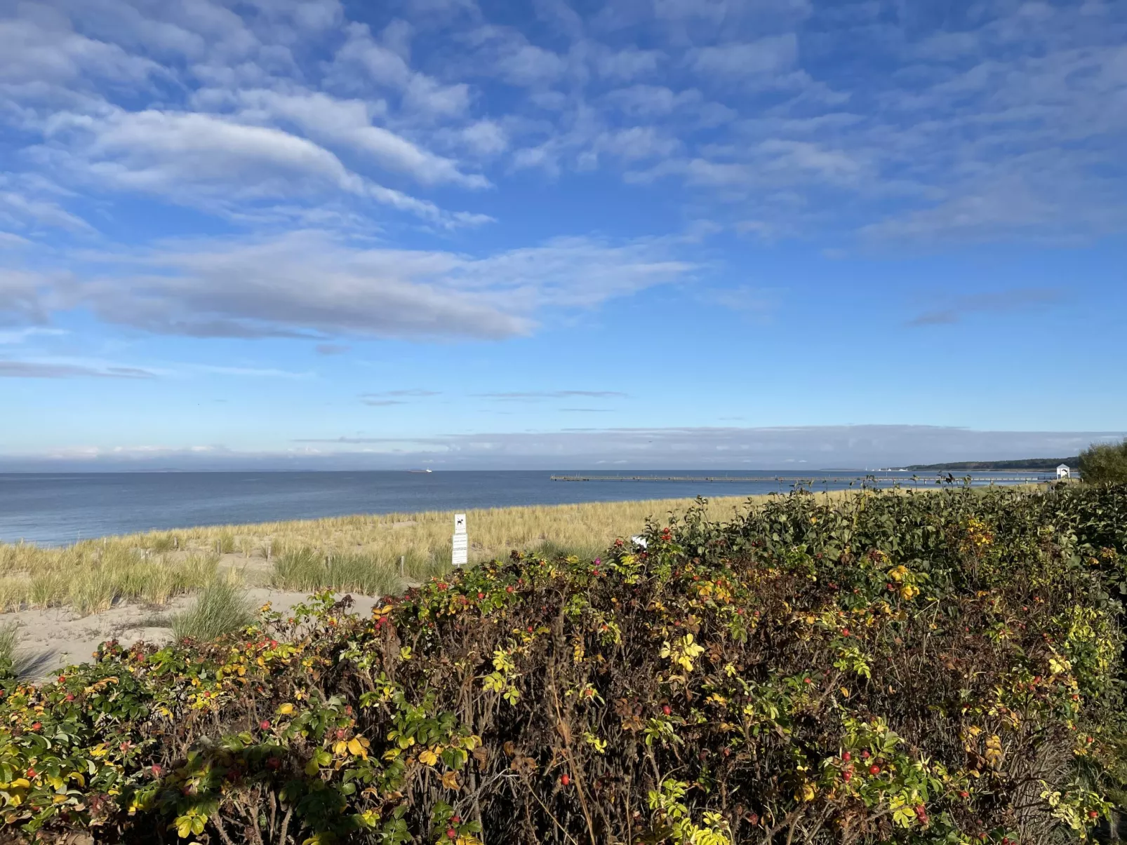 Strandvilla (LUB117)-Dehors