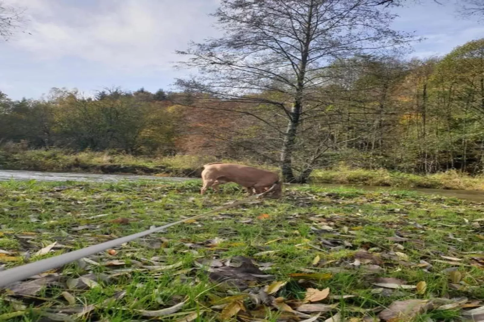 La Source des Bois-Zones d'été à 20 km