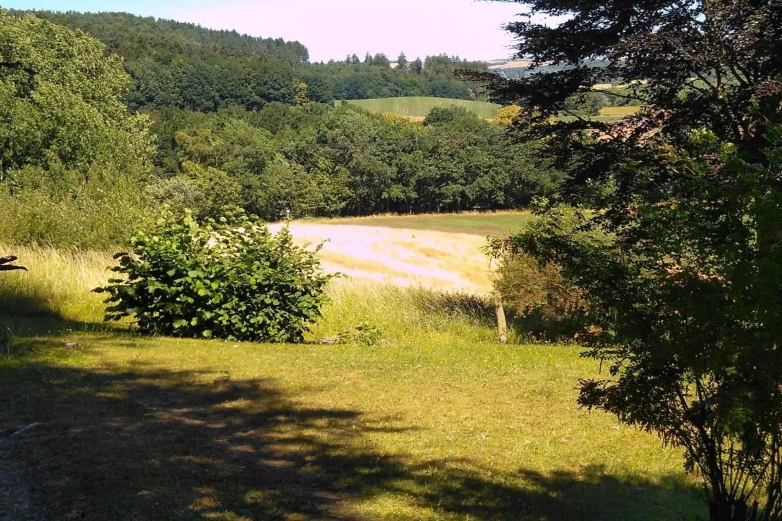 Hohe Rhön-Gebiete Sommer 20 km