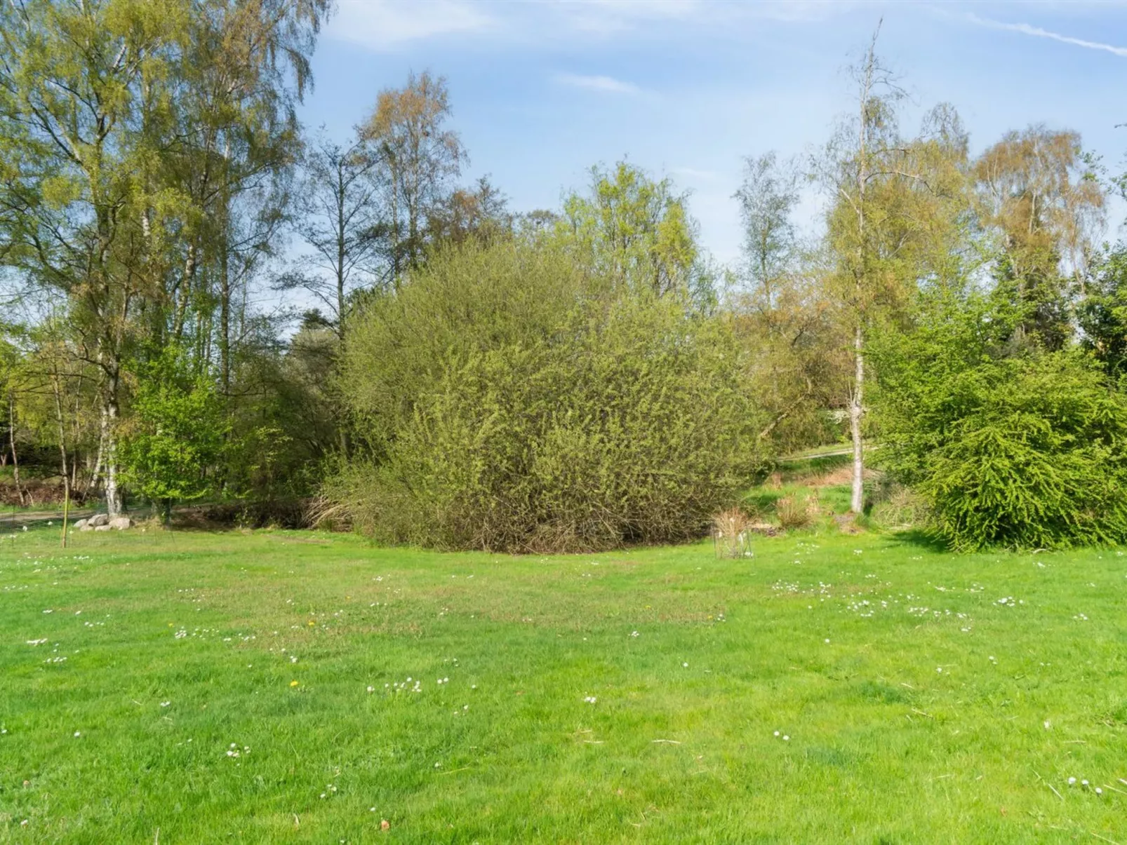 "Bassi" - 650m from the sea-Draußen