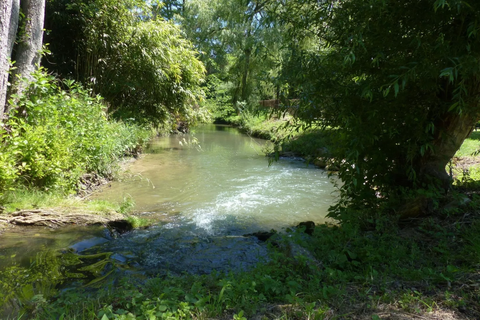 La Forgerie et Tiny-Gebiete Sommer 5 km