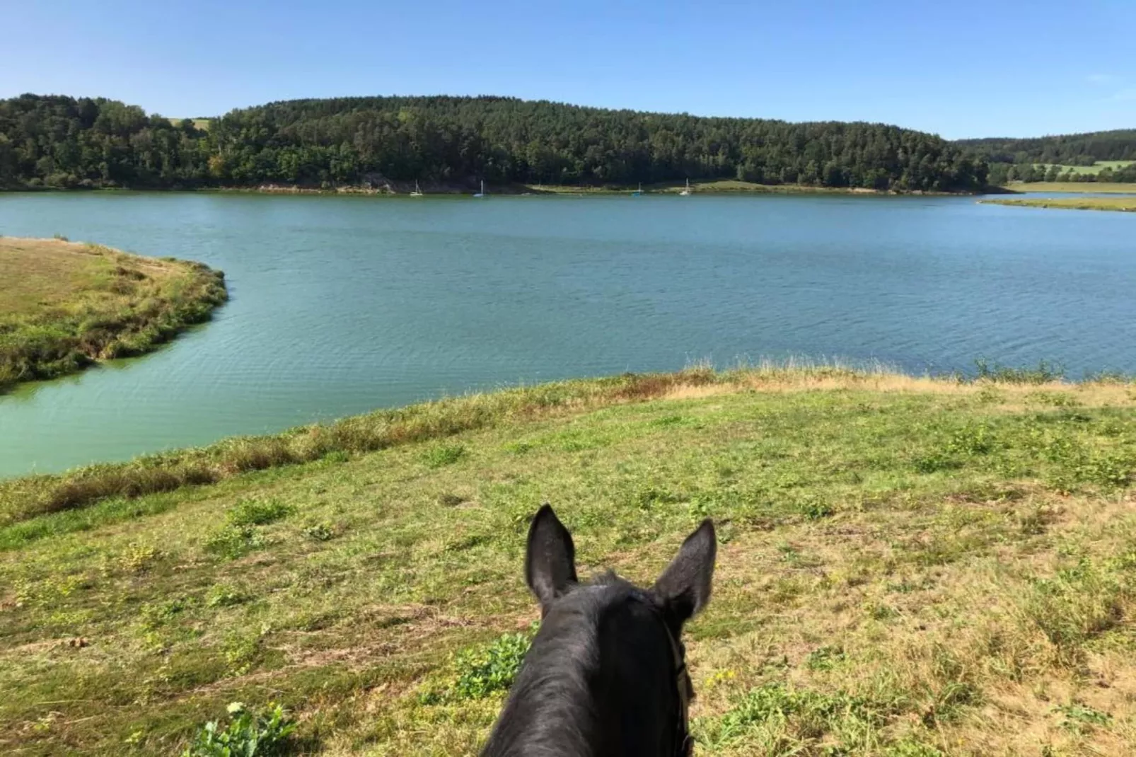 FERIENDORF SEEBLICK - Tiny Chalet am Eixendorfer See-Areas summer 20km
