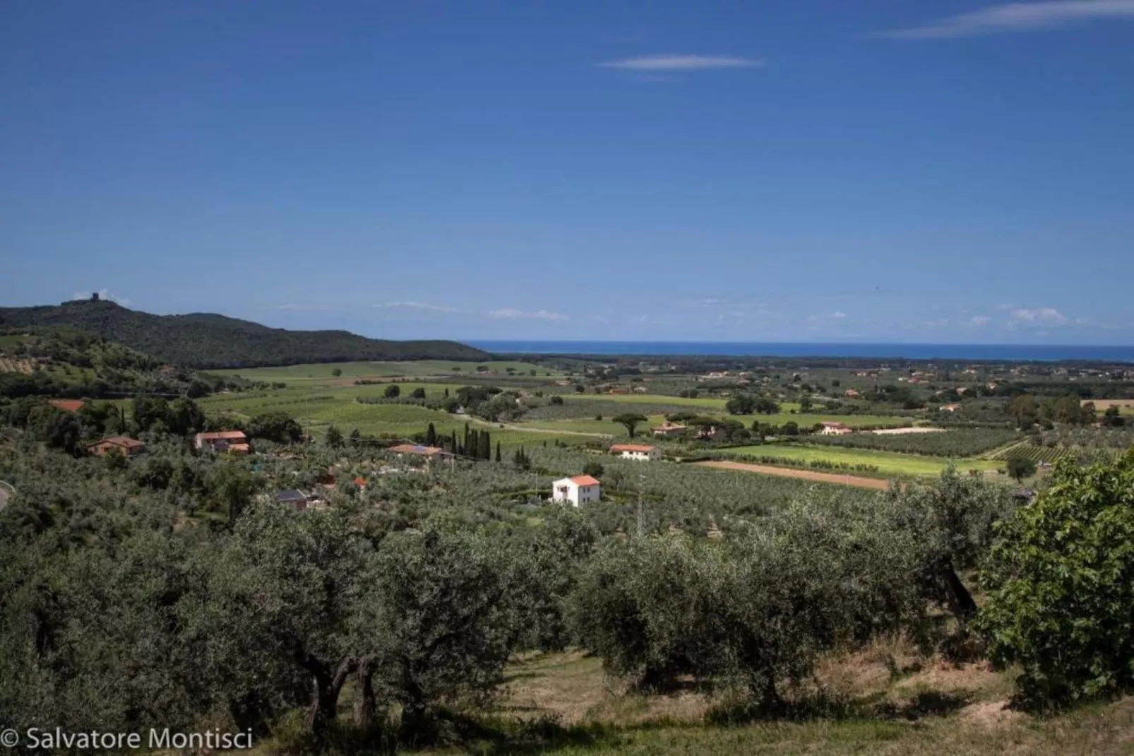 Bilo-Areas summer 20km