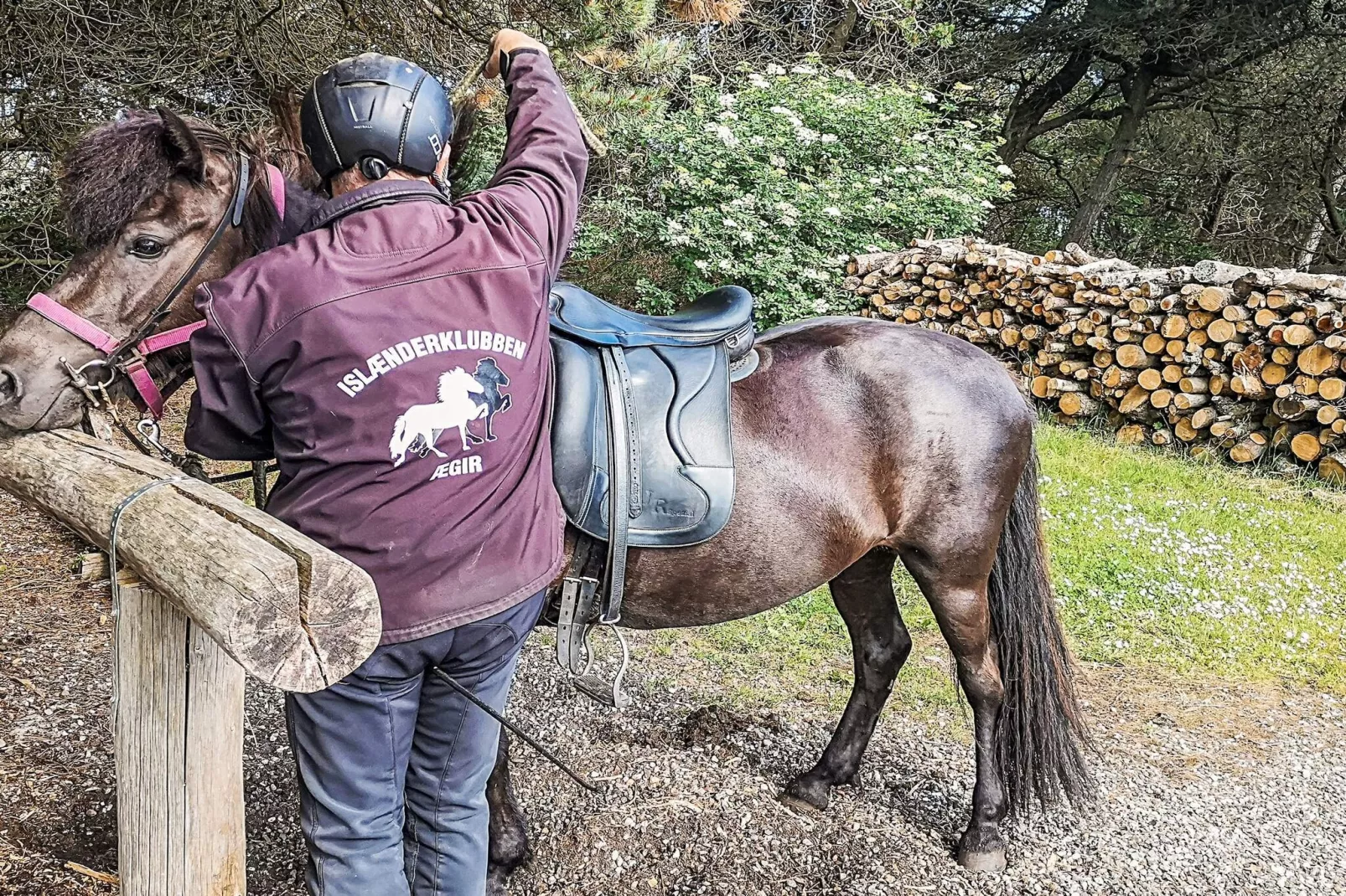 Vesterhavshytte til 6 Personer-Outdoor