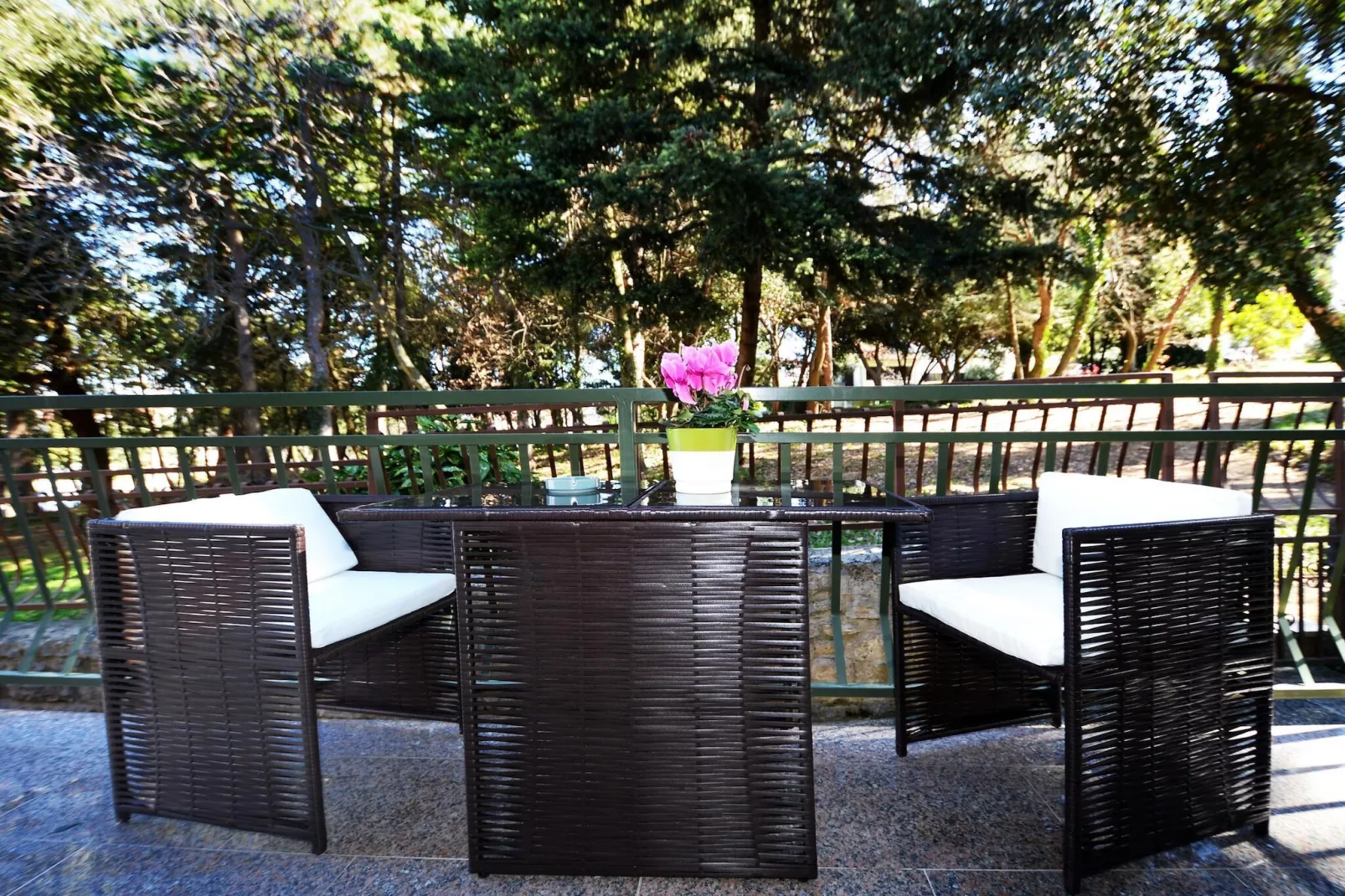 Apartment Saša-Terrace balcony