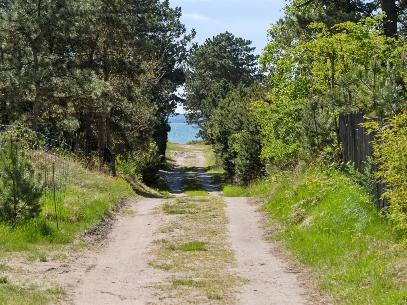 "Dagino" - 200m from the sea-Draußen
