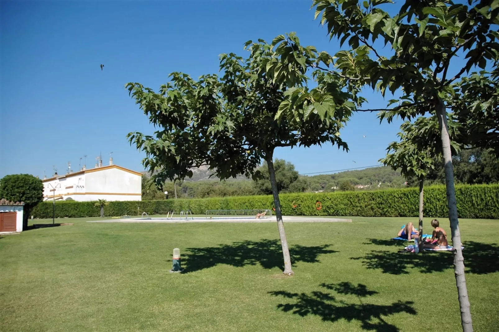 gardensummer