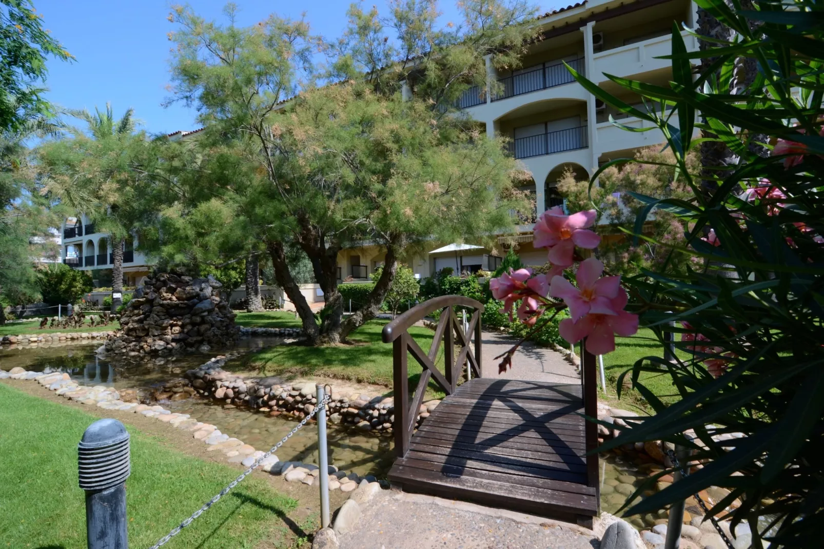 gardensummer