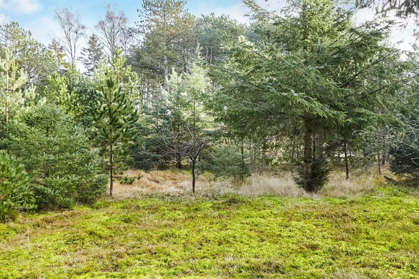 4 Personen Ferienhaus in Store Fuglede-By Traum-Aussicht