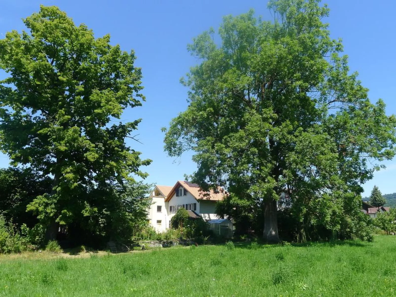 Ferienhaus Oase am Mühlebach-Outside