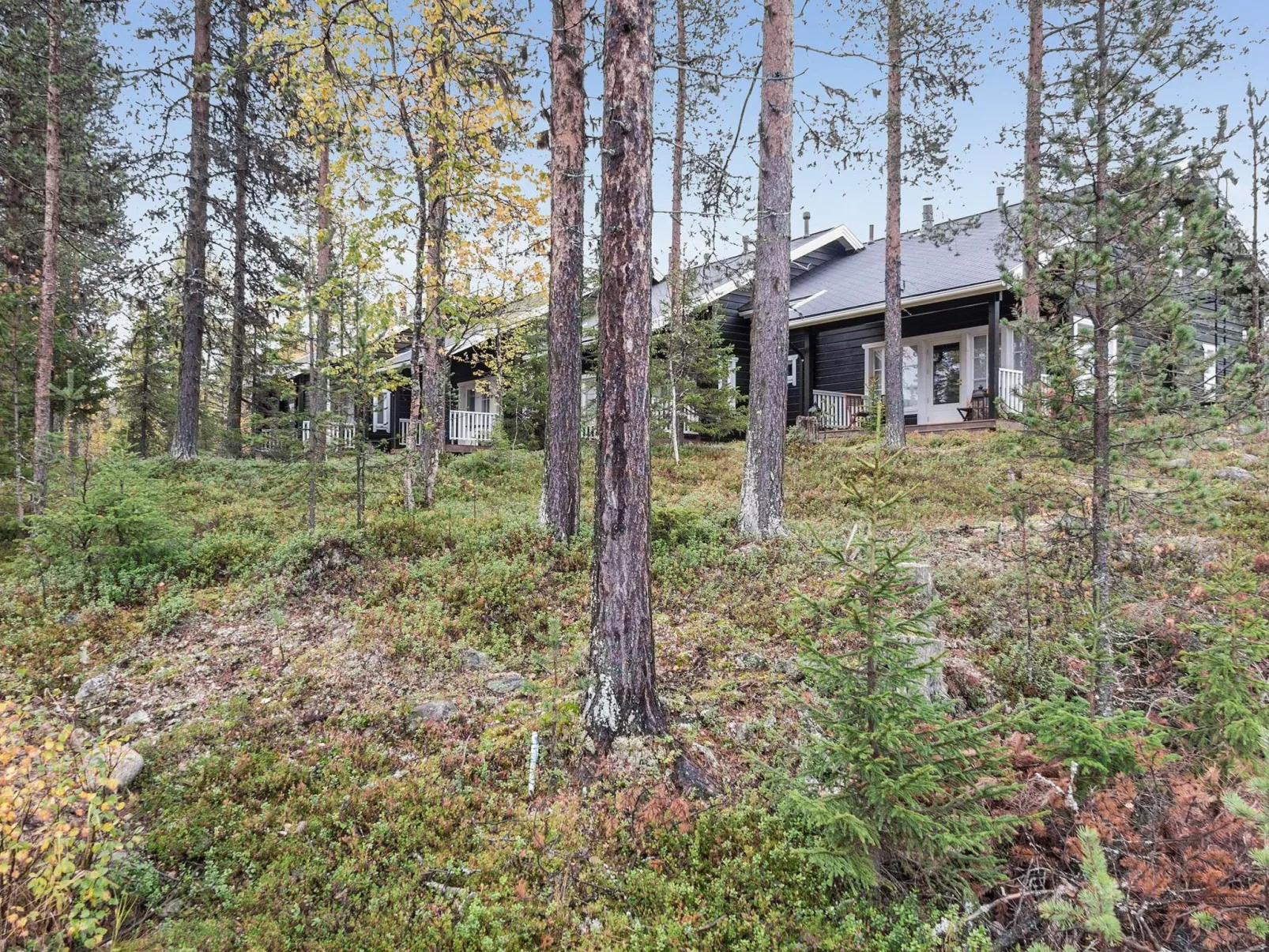 Ylläskumpu 3 / sivakka-Drinnen