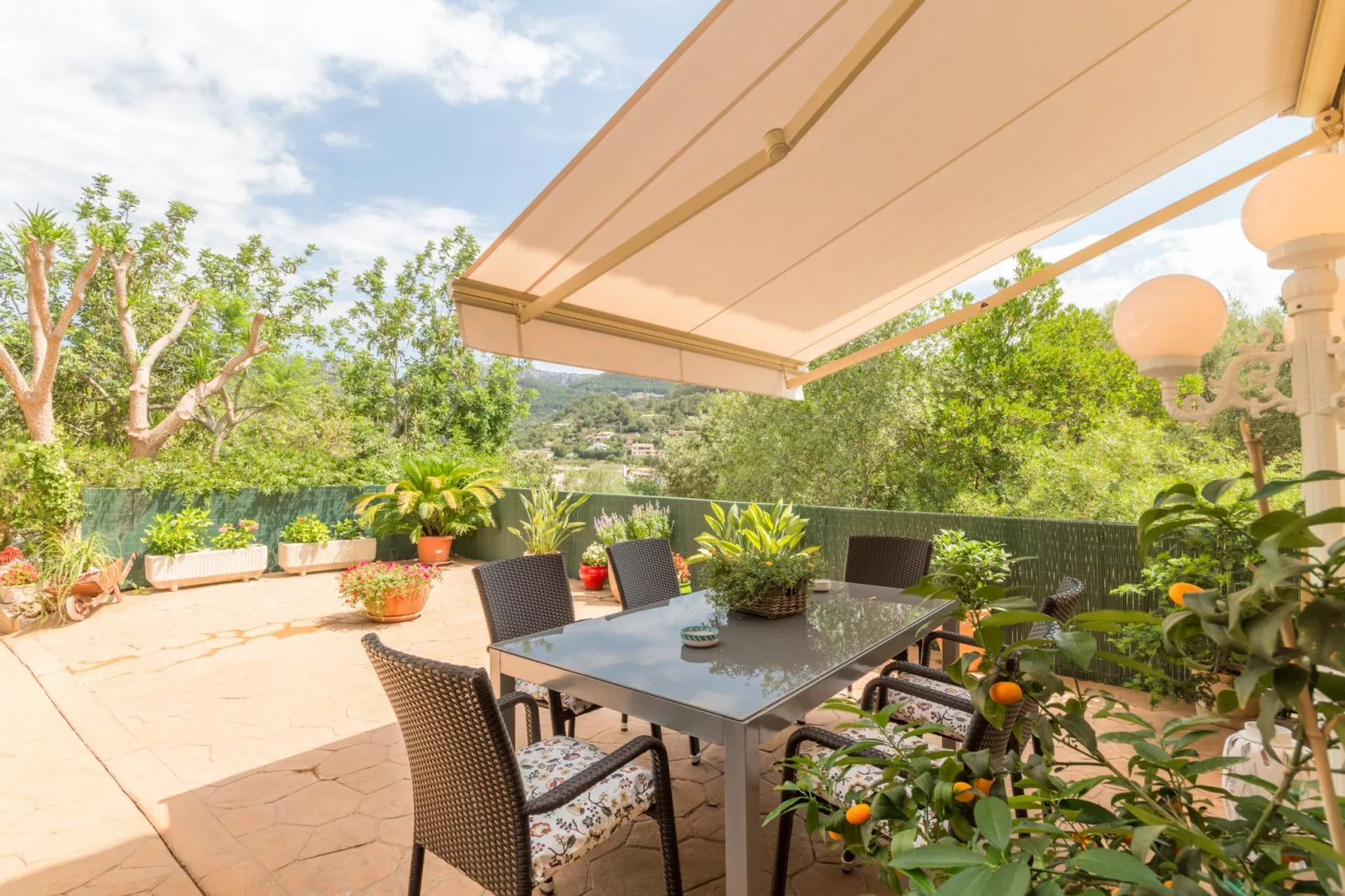 terrace