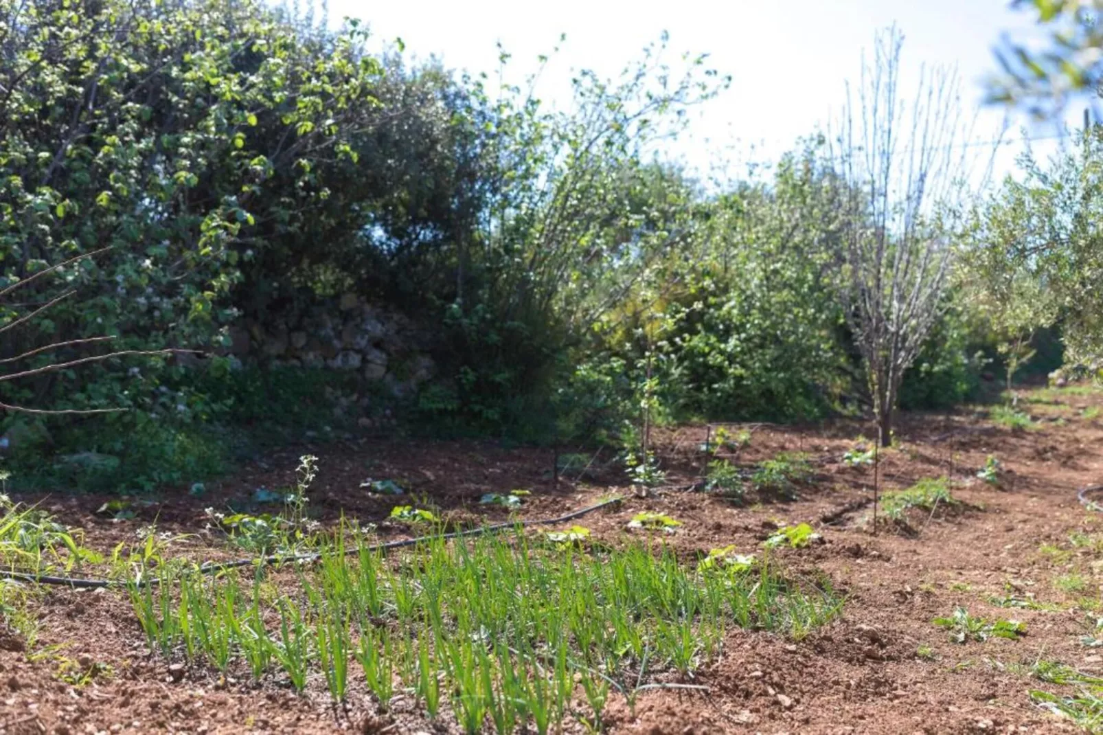 Villa Aspa in Prines-Areas summer 20km