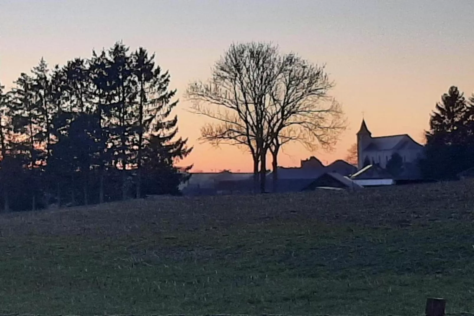 Specht-Gebiete Sommer 20 km