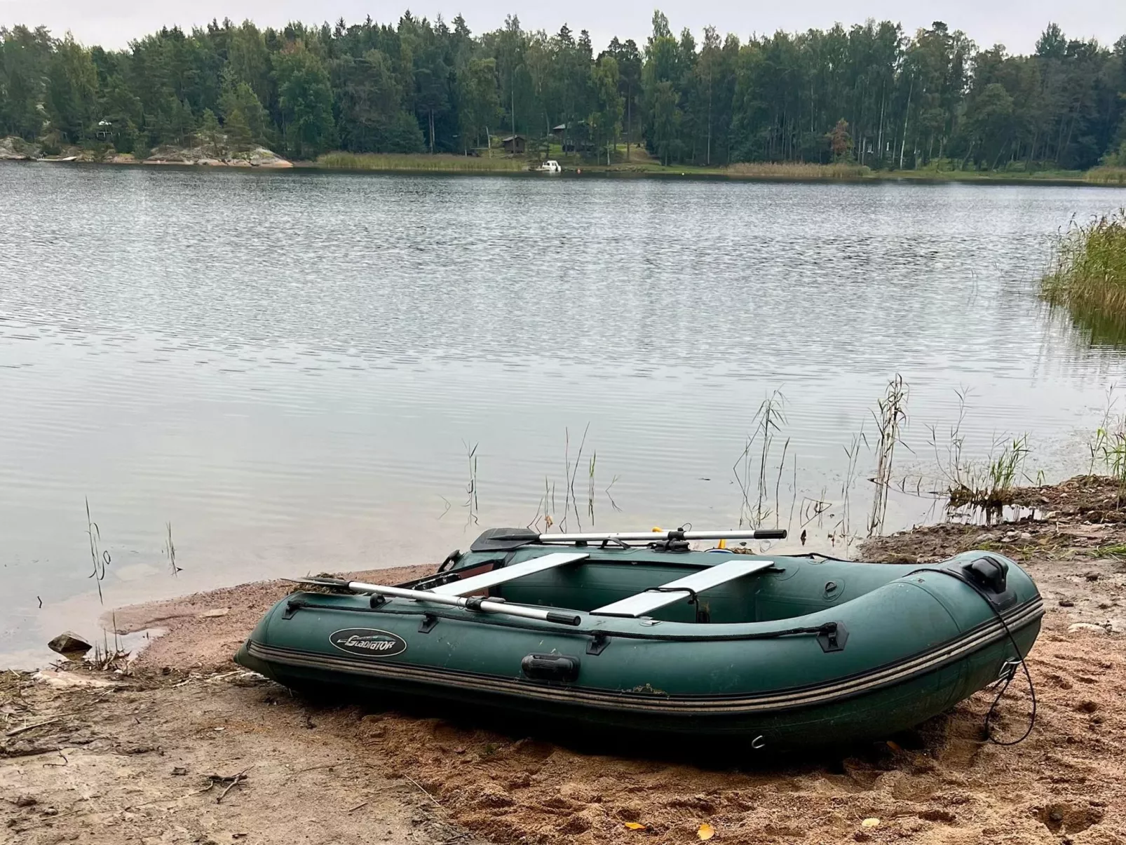 Hemvik