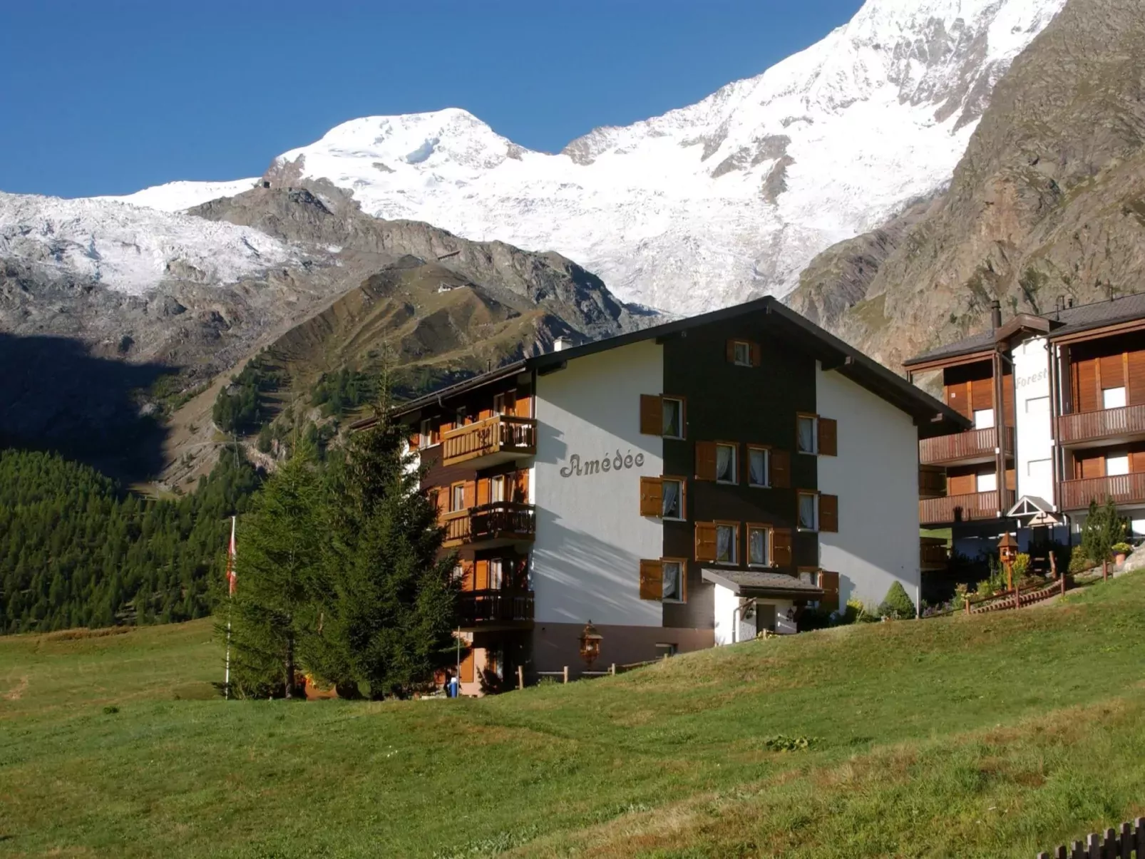 Haus Amedee