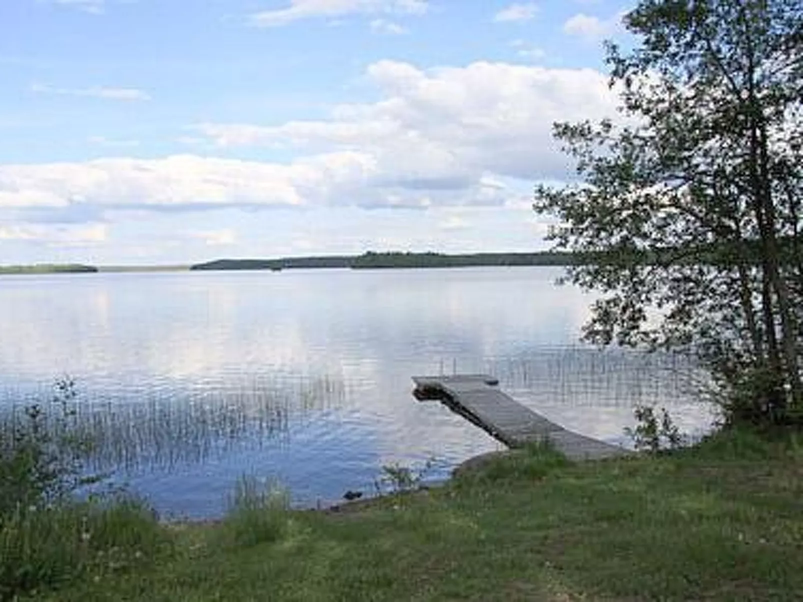 Pihlajatupa