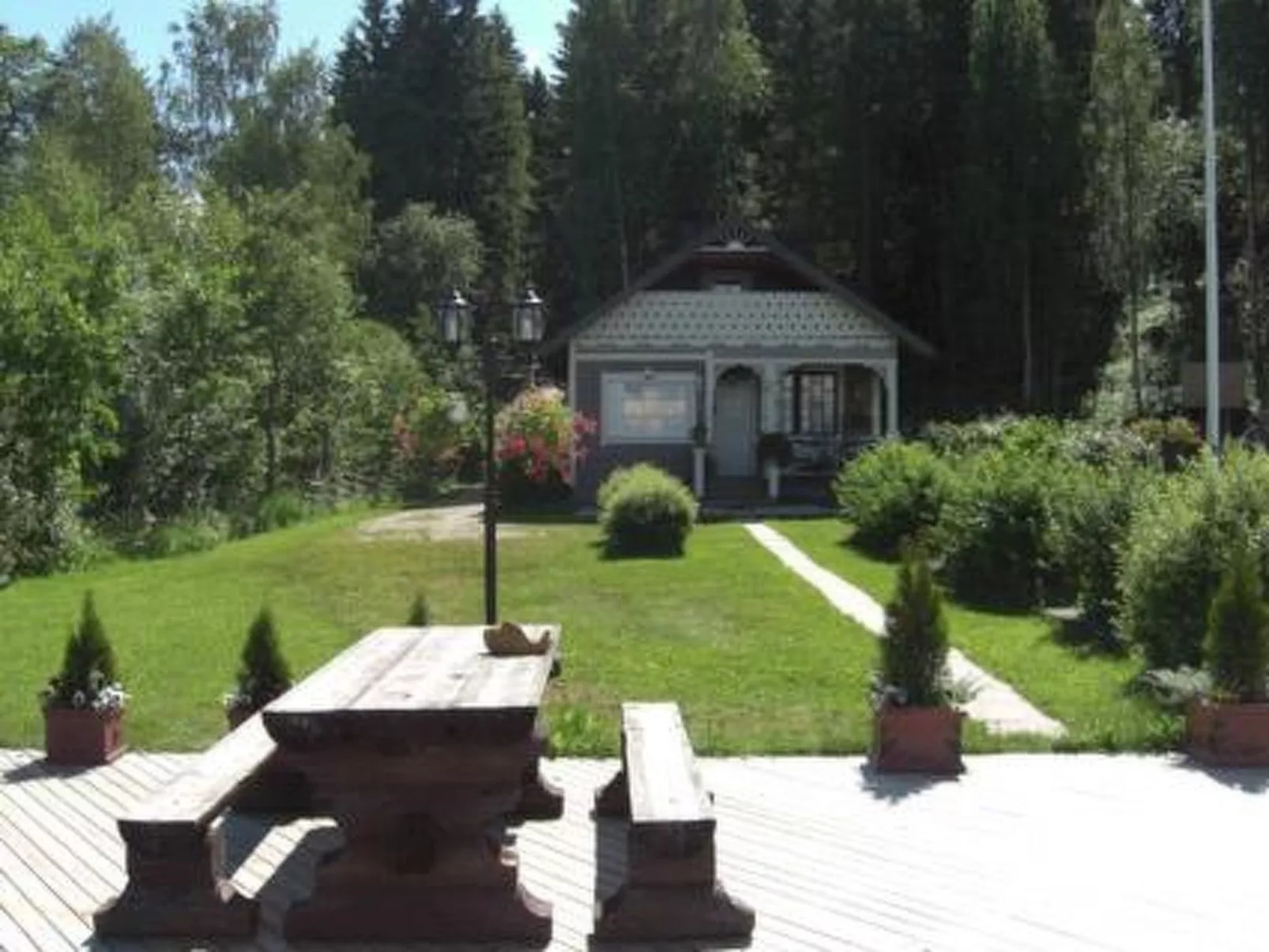 Villa vuorikotka
